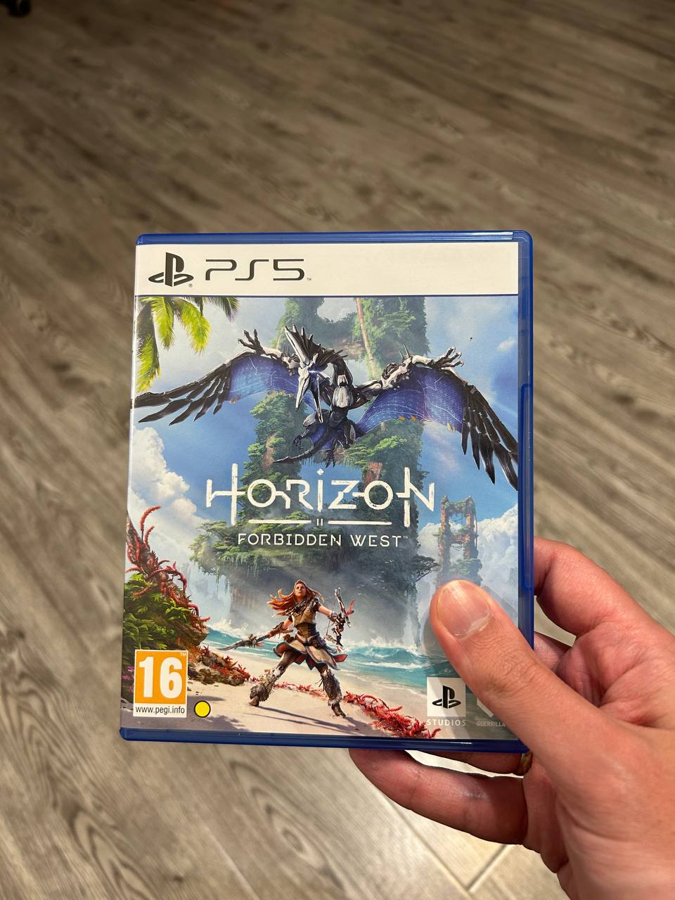 Horizon Forbidden West для PlayStation 5