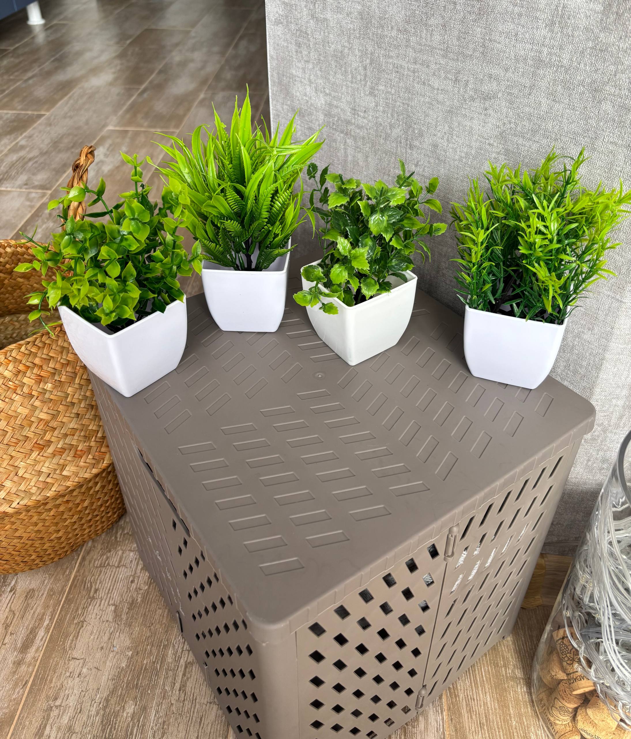 Искусственные суккуленты в горшочках, 4 шт