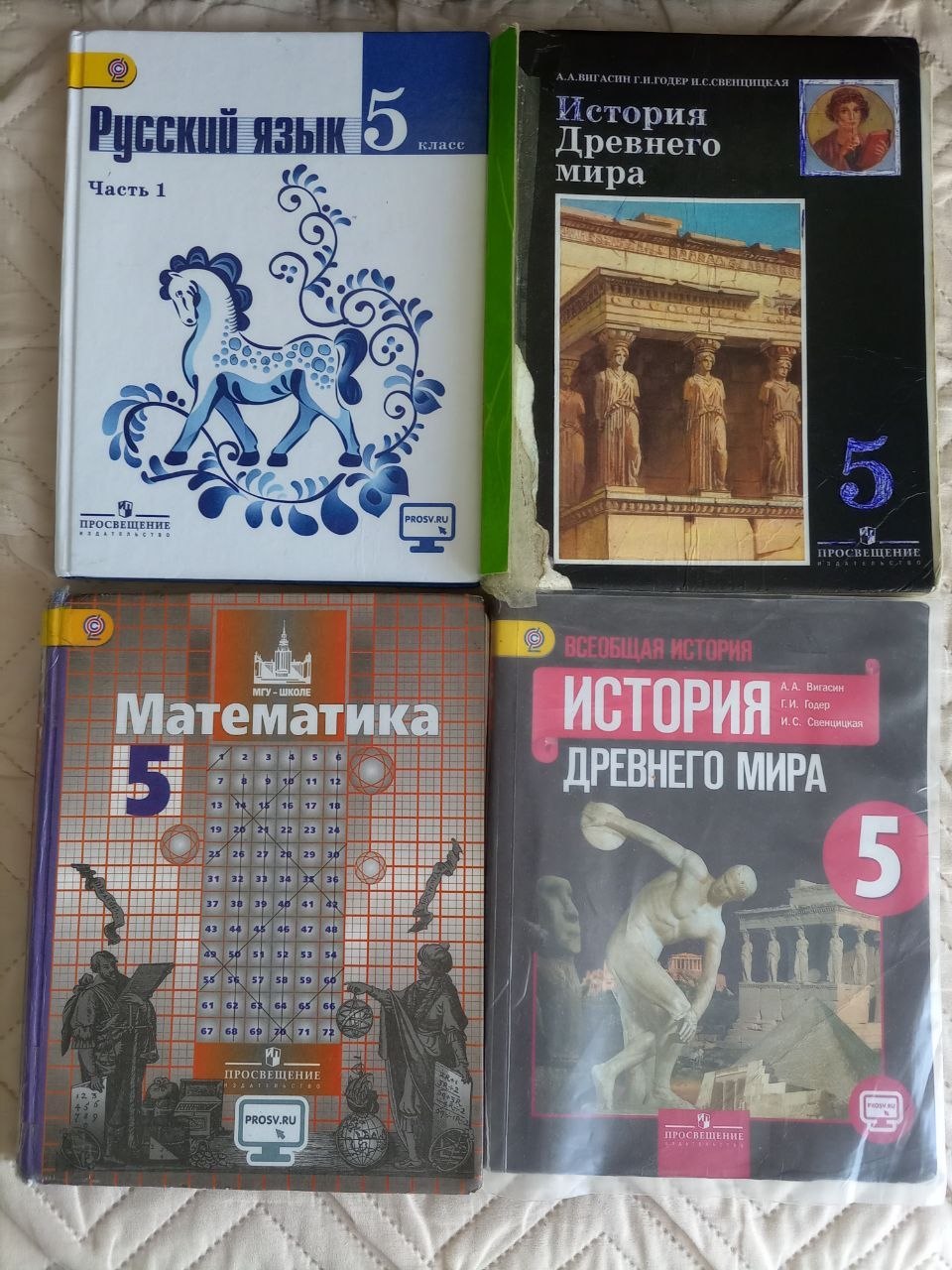 Учебник 5 класс: Русский язык