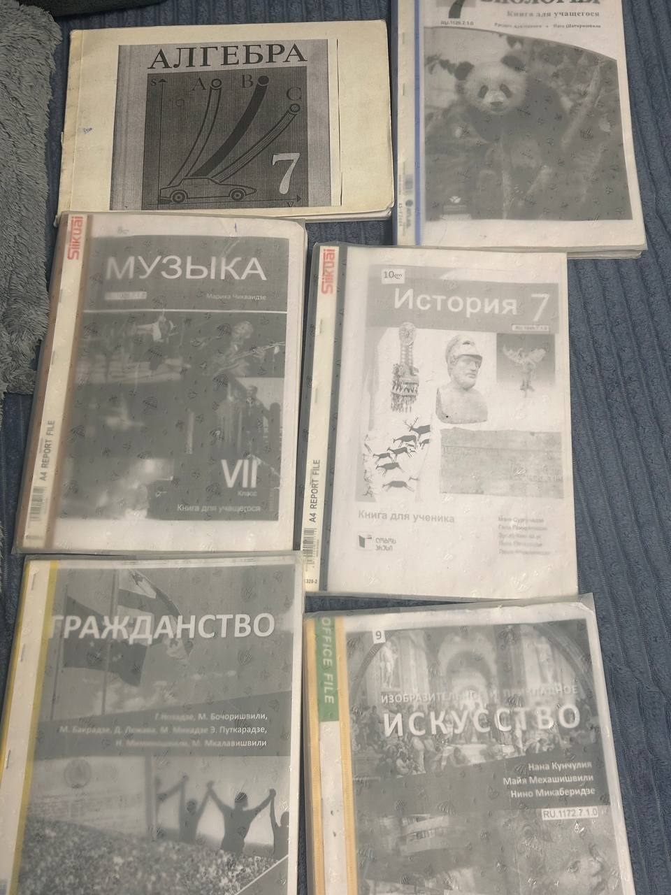 Учебники за 7 класс (комплект)