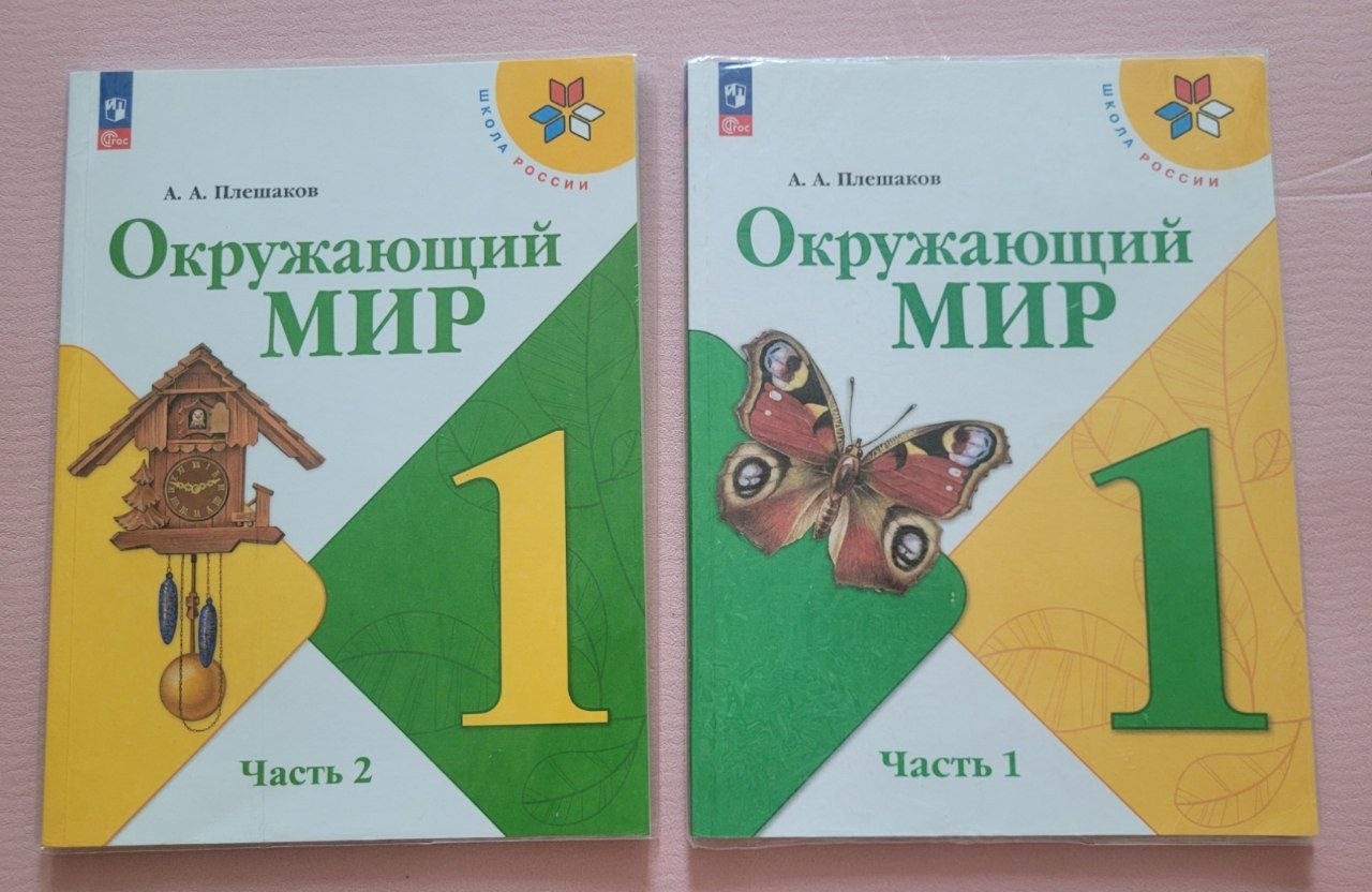 Учебники, 2 шт, 2025 год издания