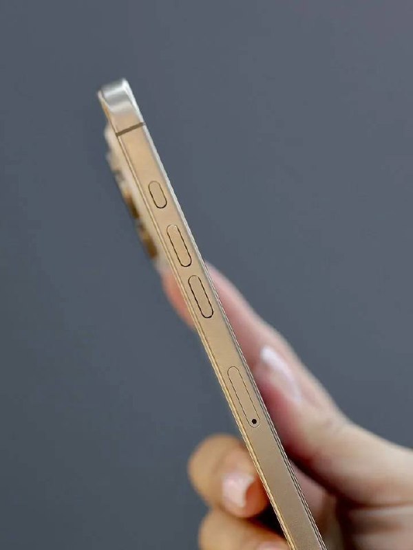 iPhone 16 Pro Max 256 ГБ