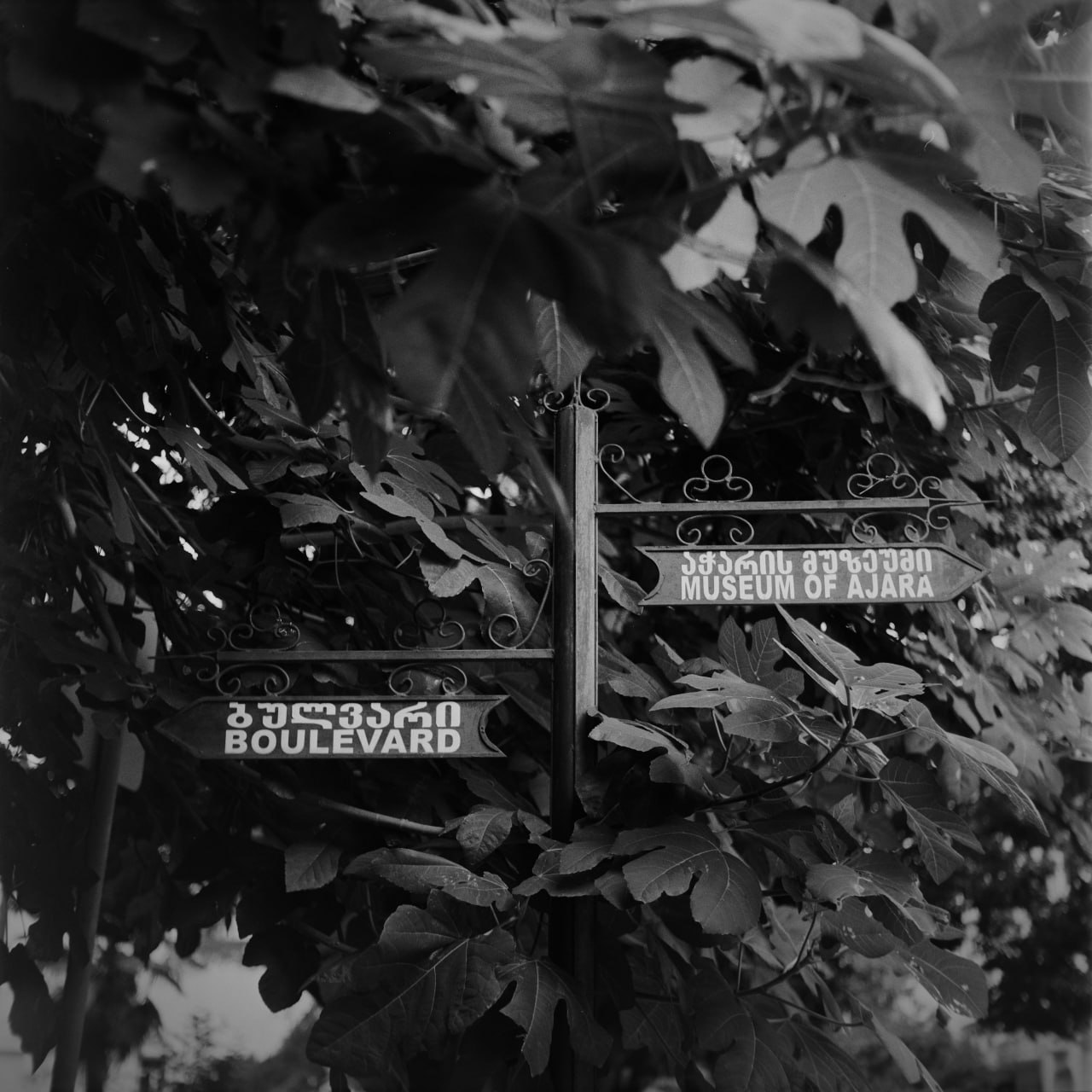 Yashica Mat 124G среднеформатный плёночный фотоаппарат
