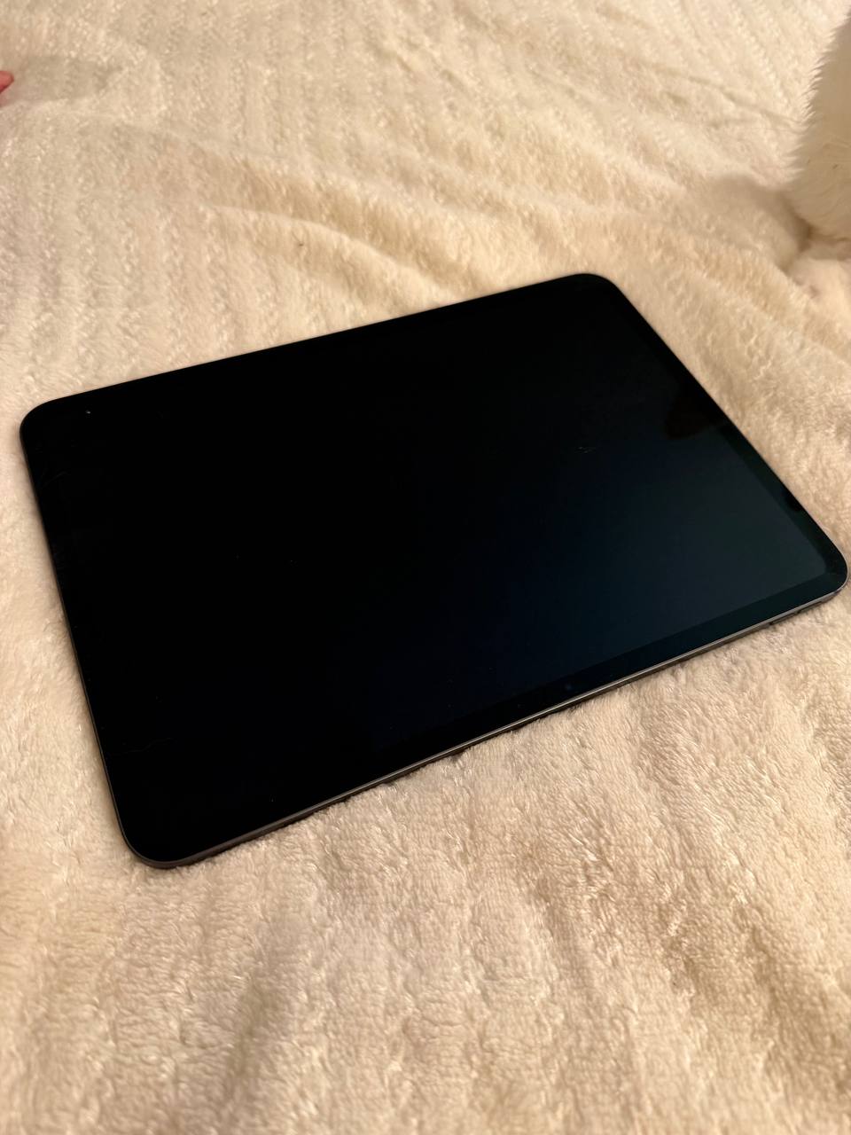 iPad Pro 11 M4