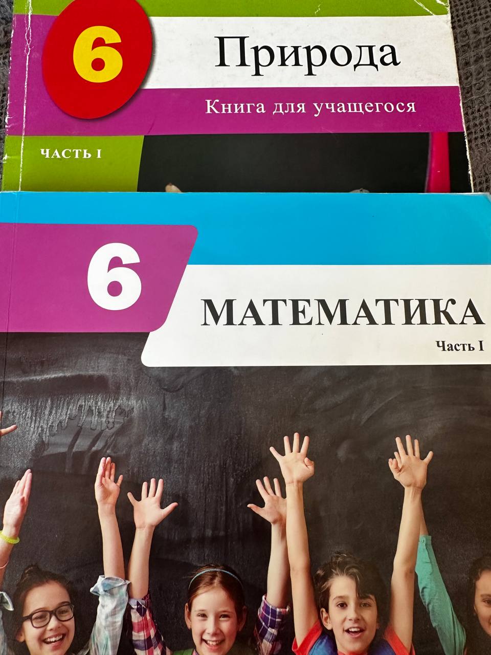 Учебники 6 класс: Математика, Природа (1 часть)