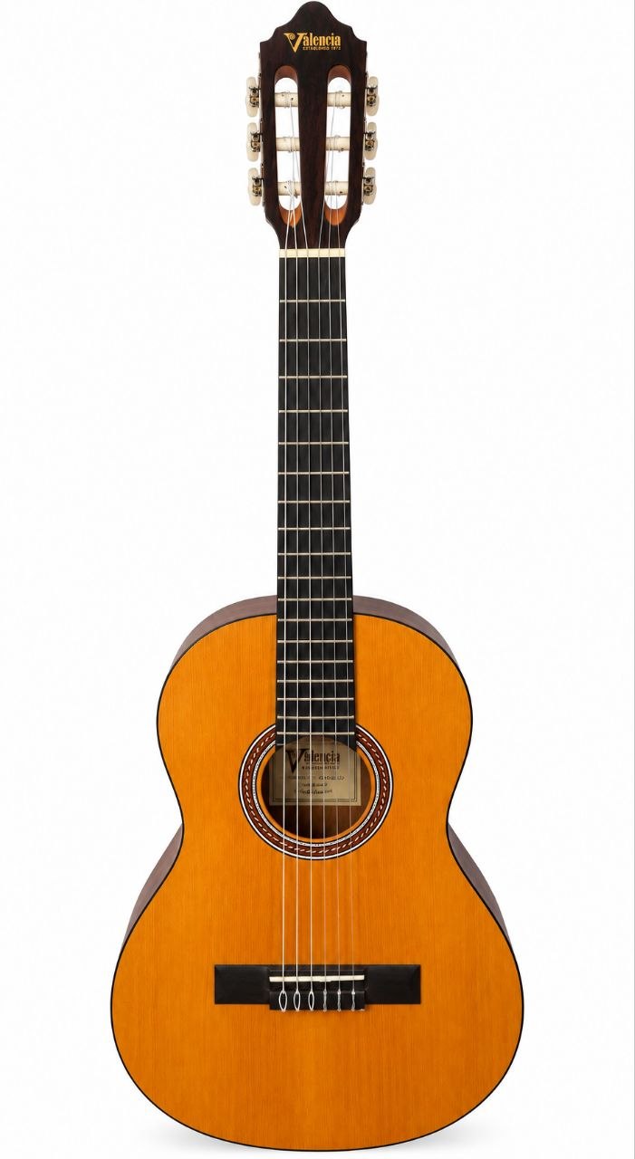 Классическая гитара Valencia VC202 1/2 + чехол GEWA