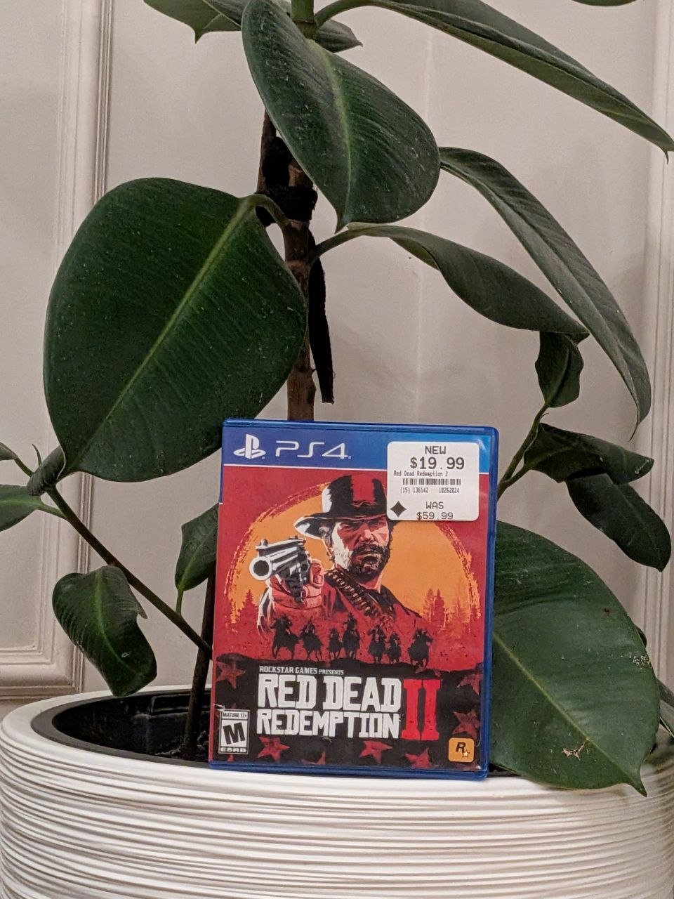 Red Dead Redemption 2 (PS4/PS5)