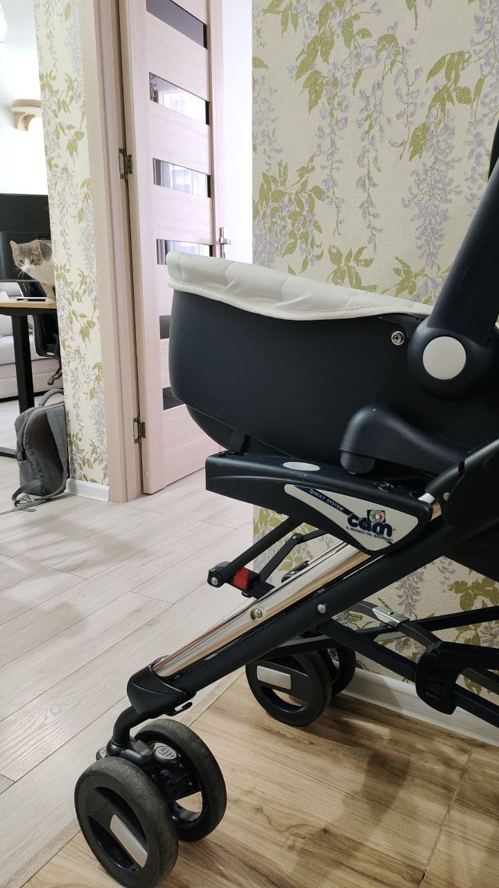 Коляска Cam il Mondo del Bambino 2 в 1