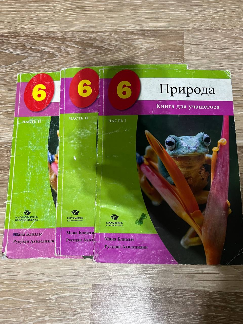 Учебник по литературе 6 класс (Природа)