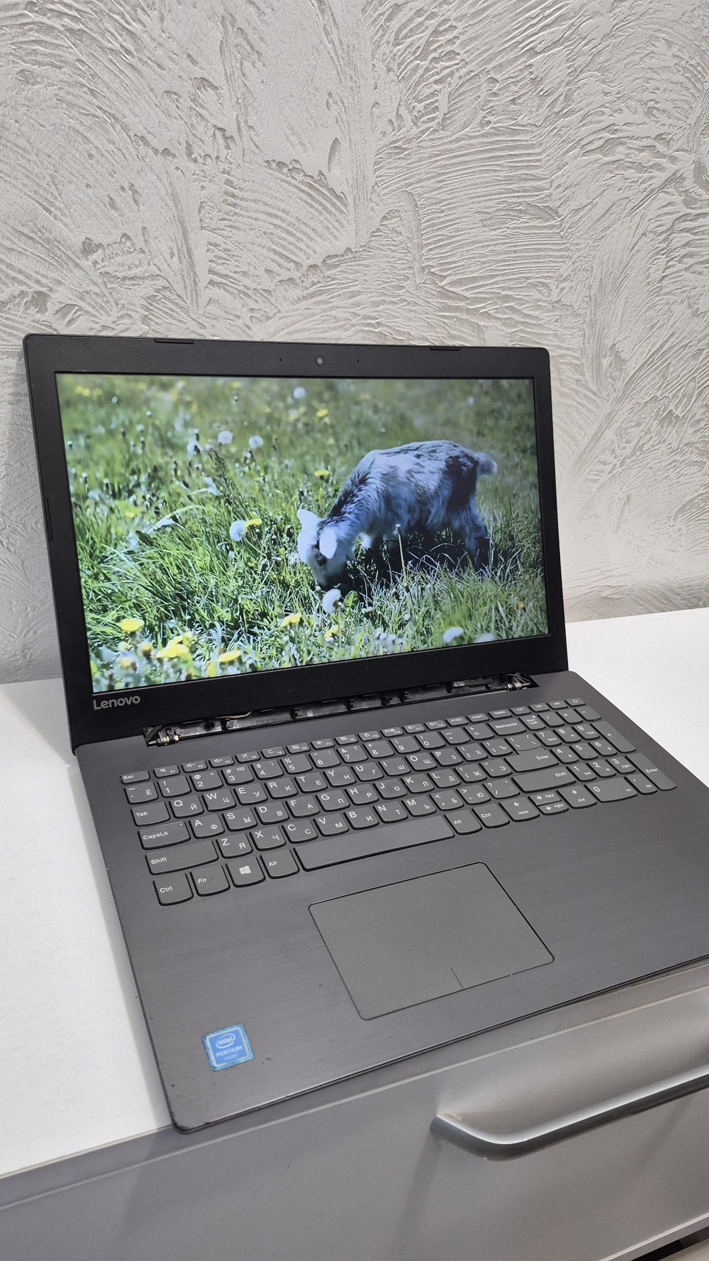 Ноутбук Lenovo 15.6" Intel Pentium N4200, 4 ГБ ОЗУ, 120 ГБ SSD