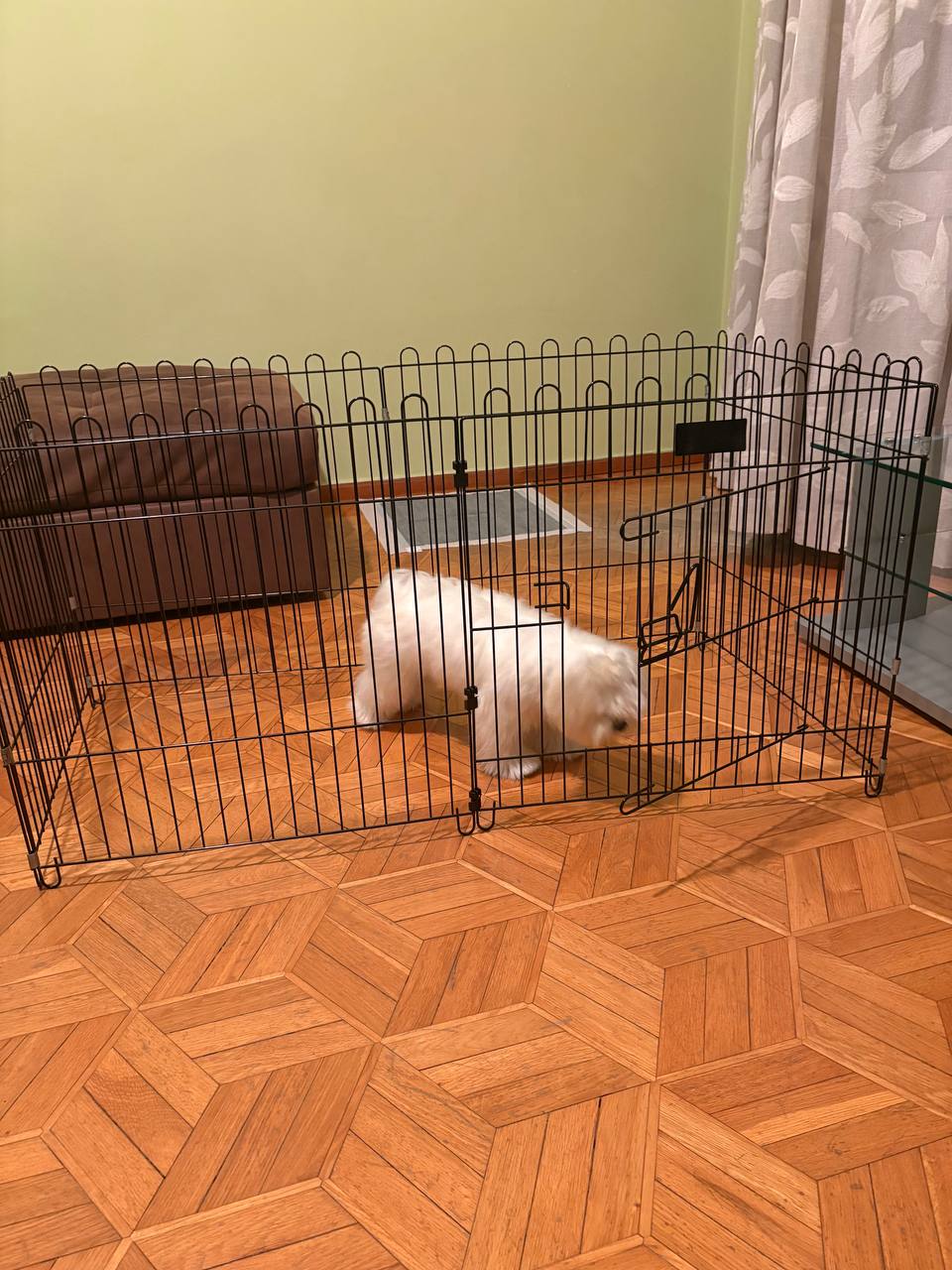 Клетка для собак просторная