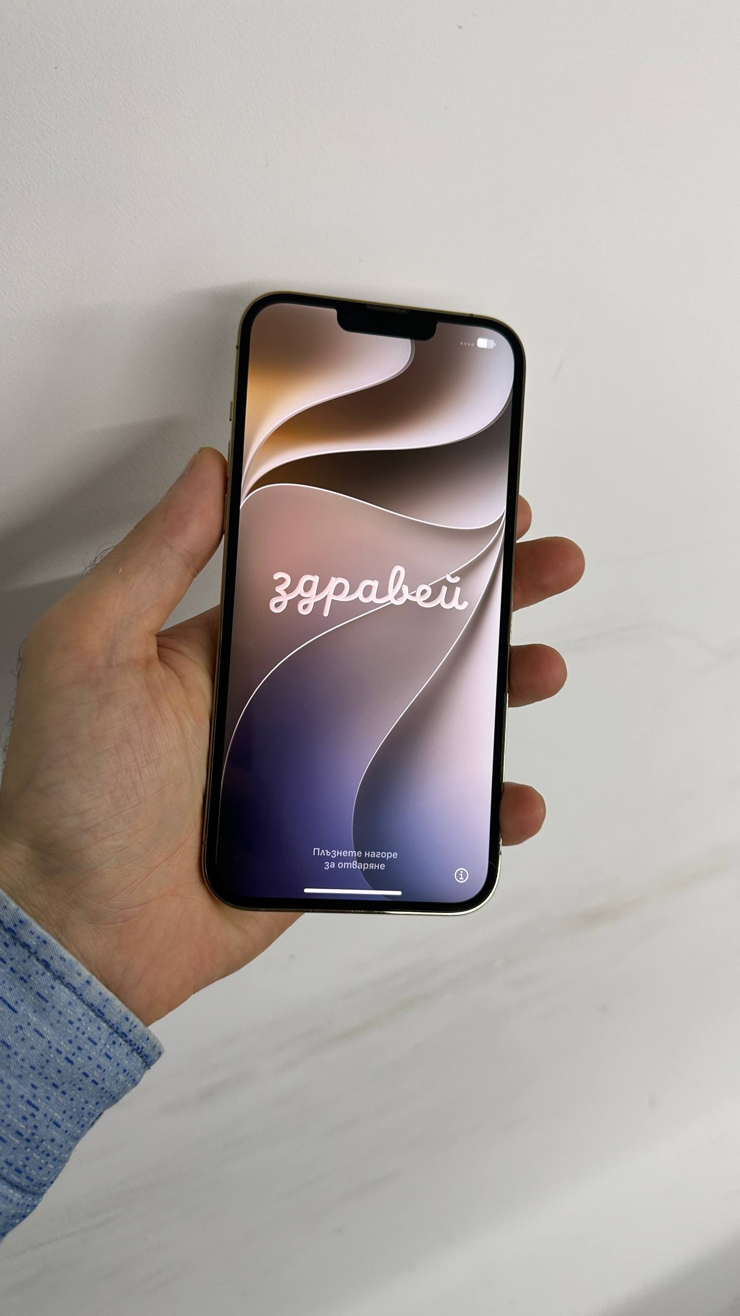iPhone 13 Pro Max 256GB (SIM+eSIM)