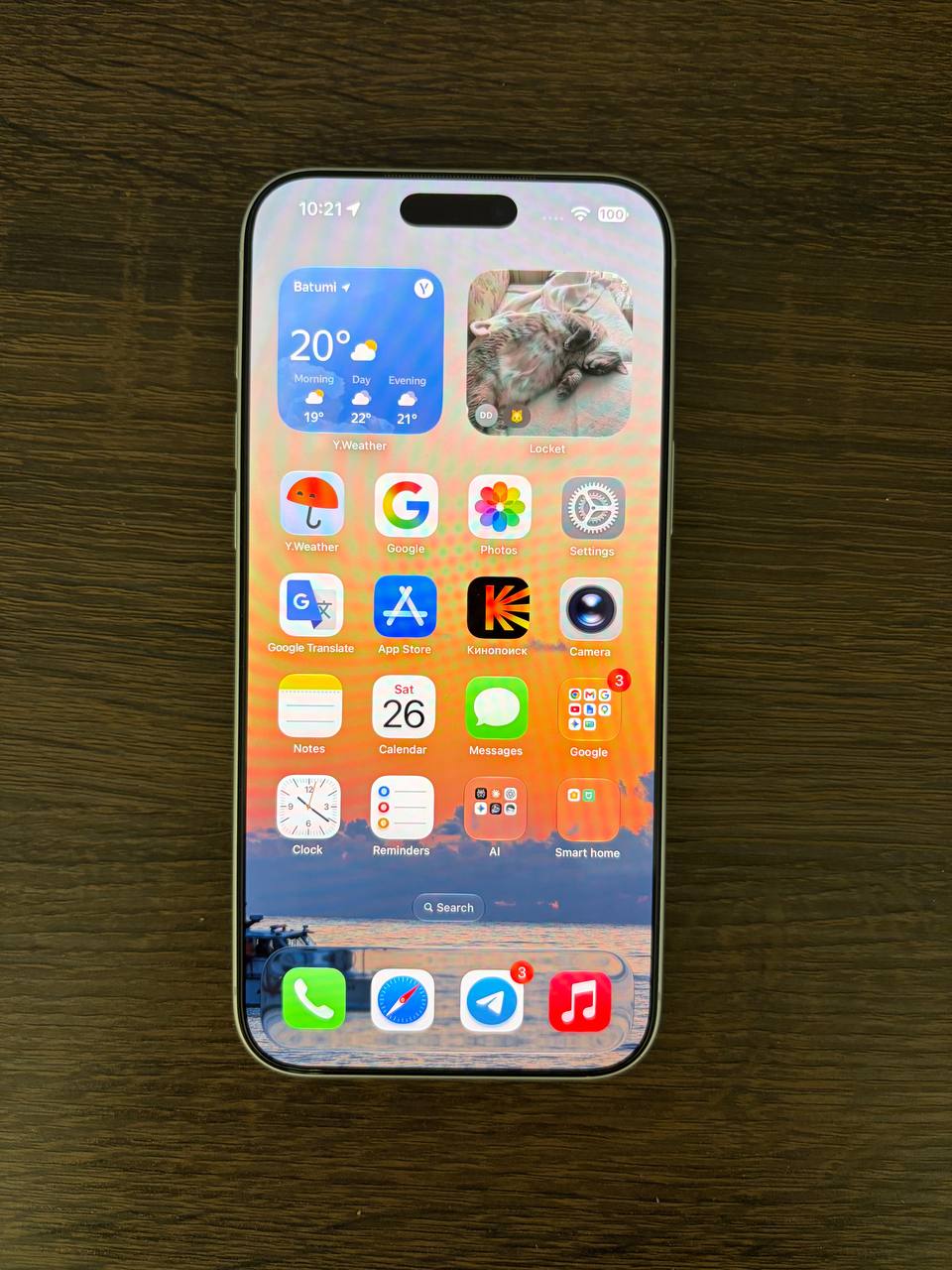 iPhone 17 Pro Max 256GB Silver