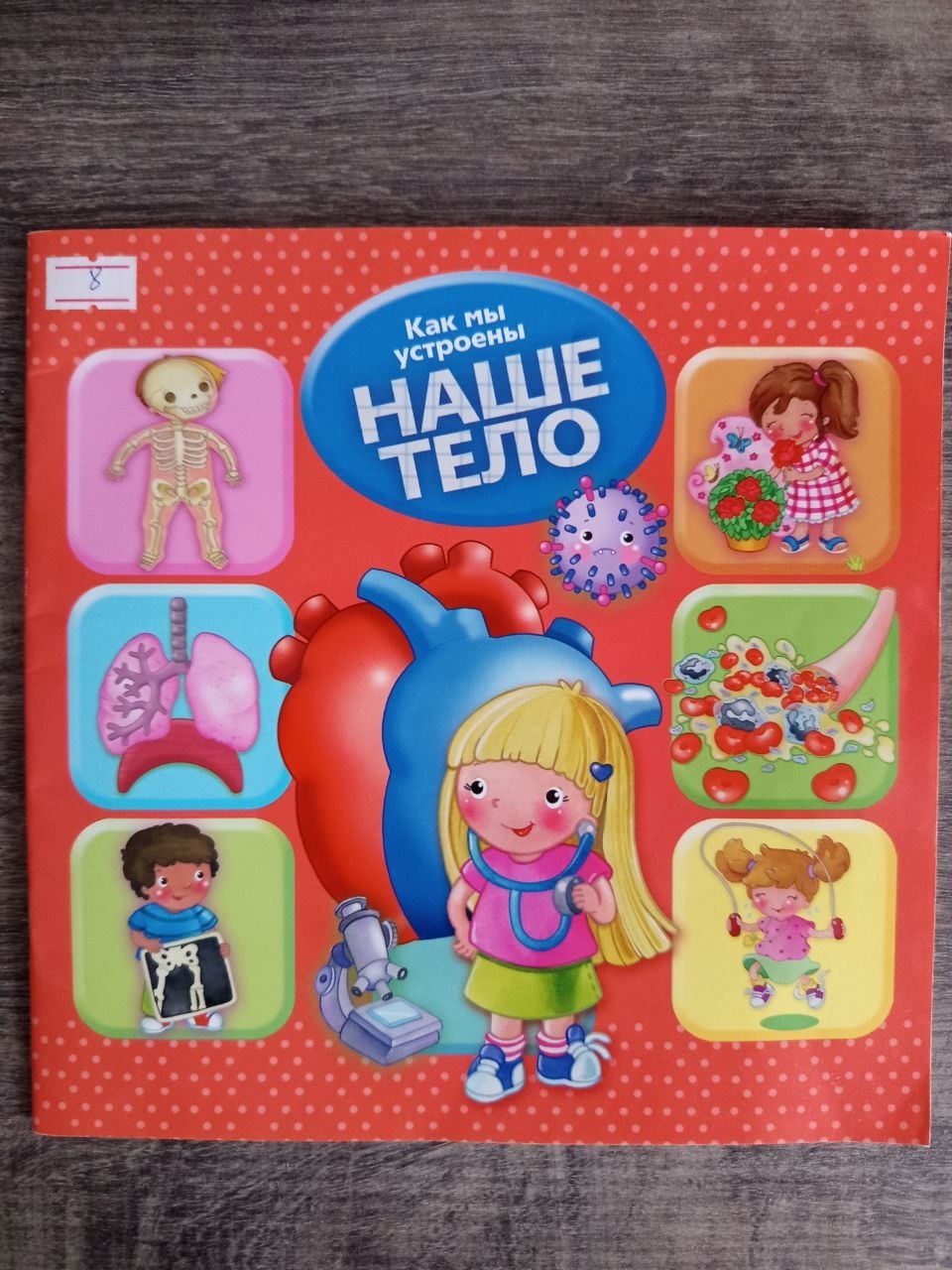Книга «Наше тело. Как мы устроены»