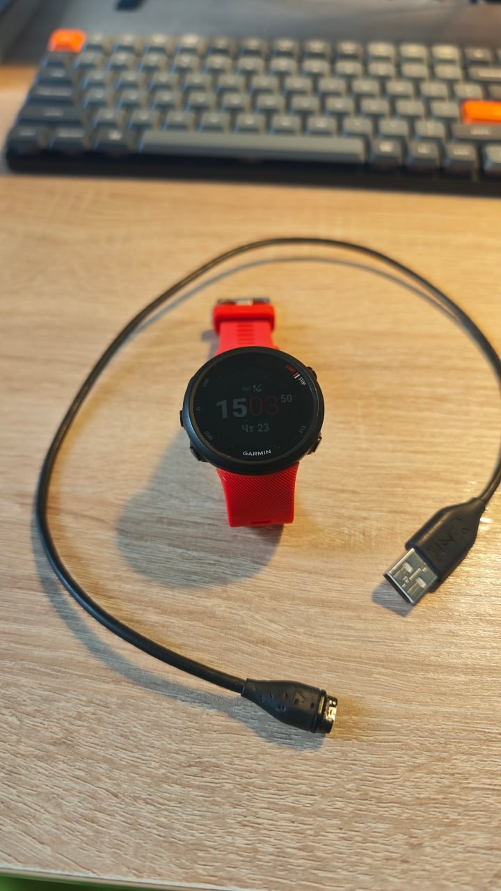 Спортивные часы Garmin Forerunner 45