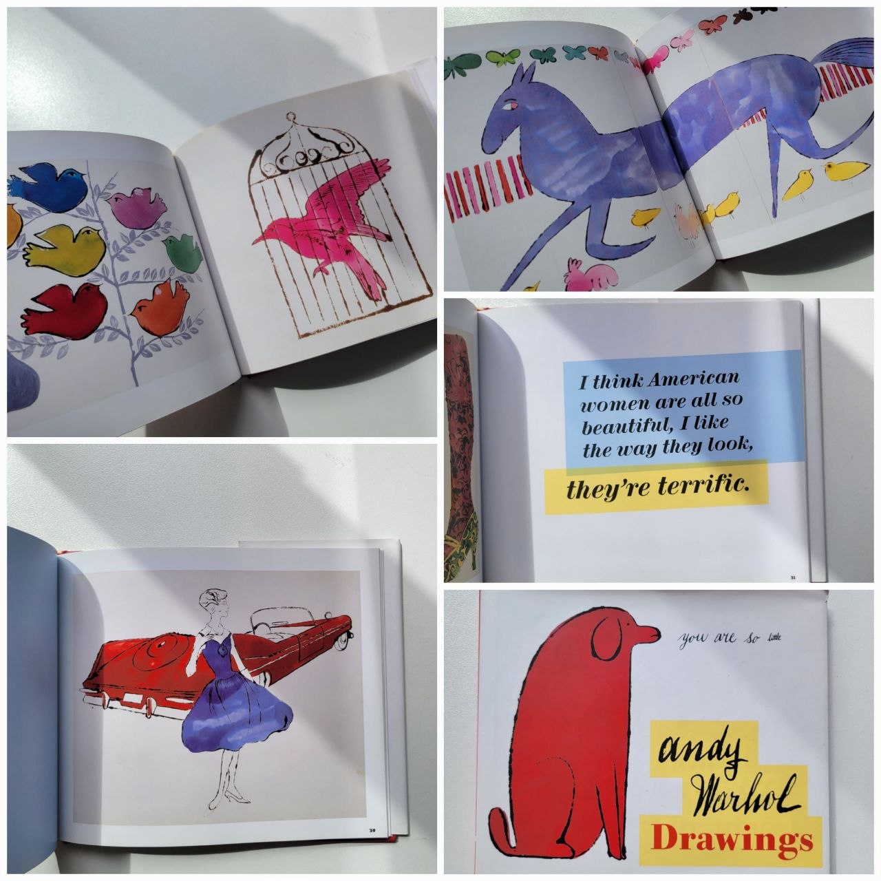 Книга Энди Уорхол «Drawings»