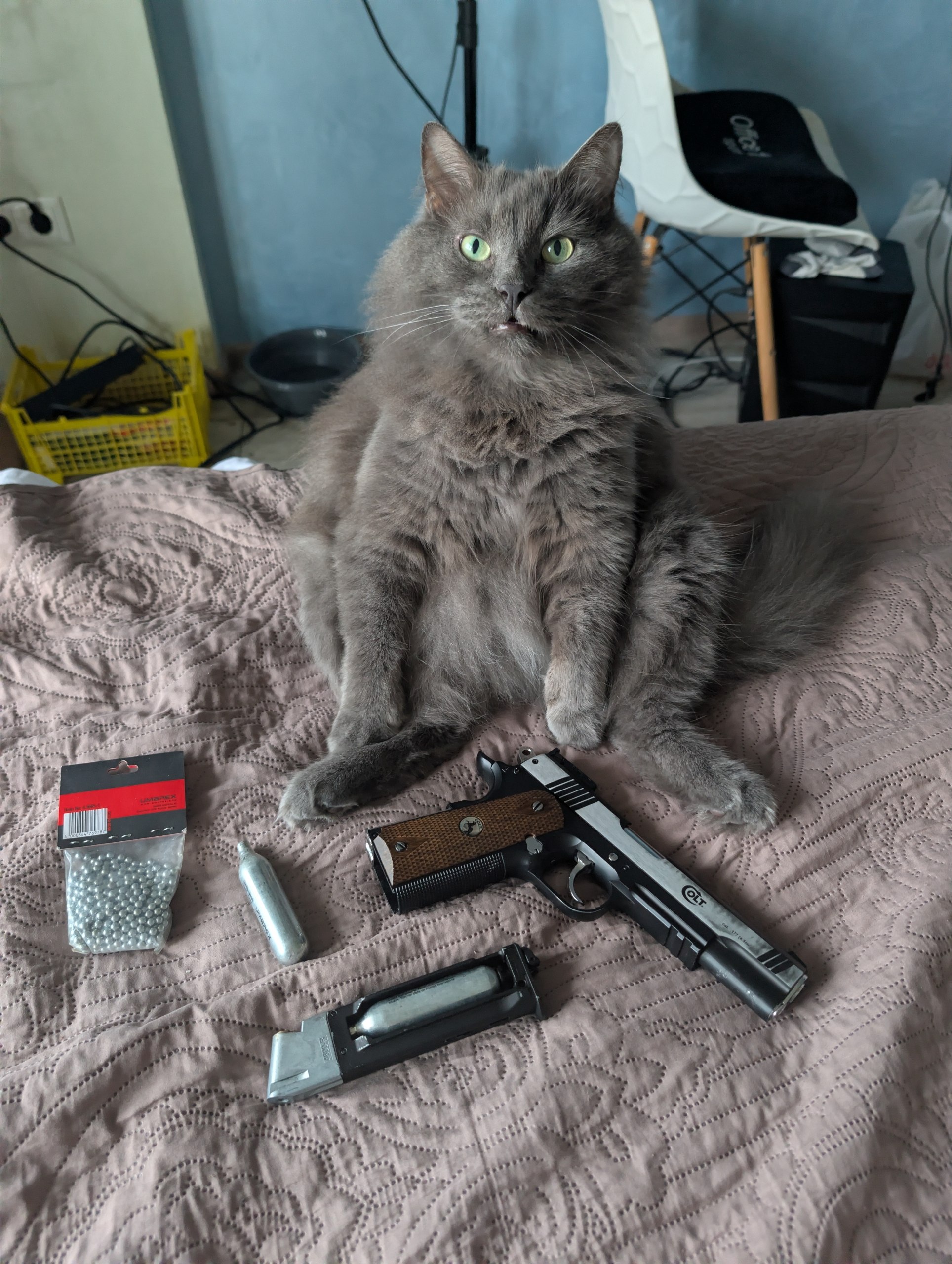 Пневматический пистолет Colt Special Combat CO2 4,5 мм