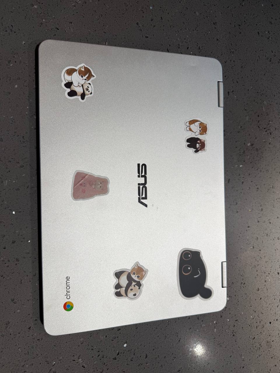 ASUS Chromebook Flip C302