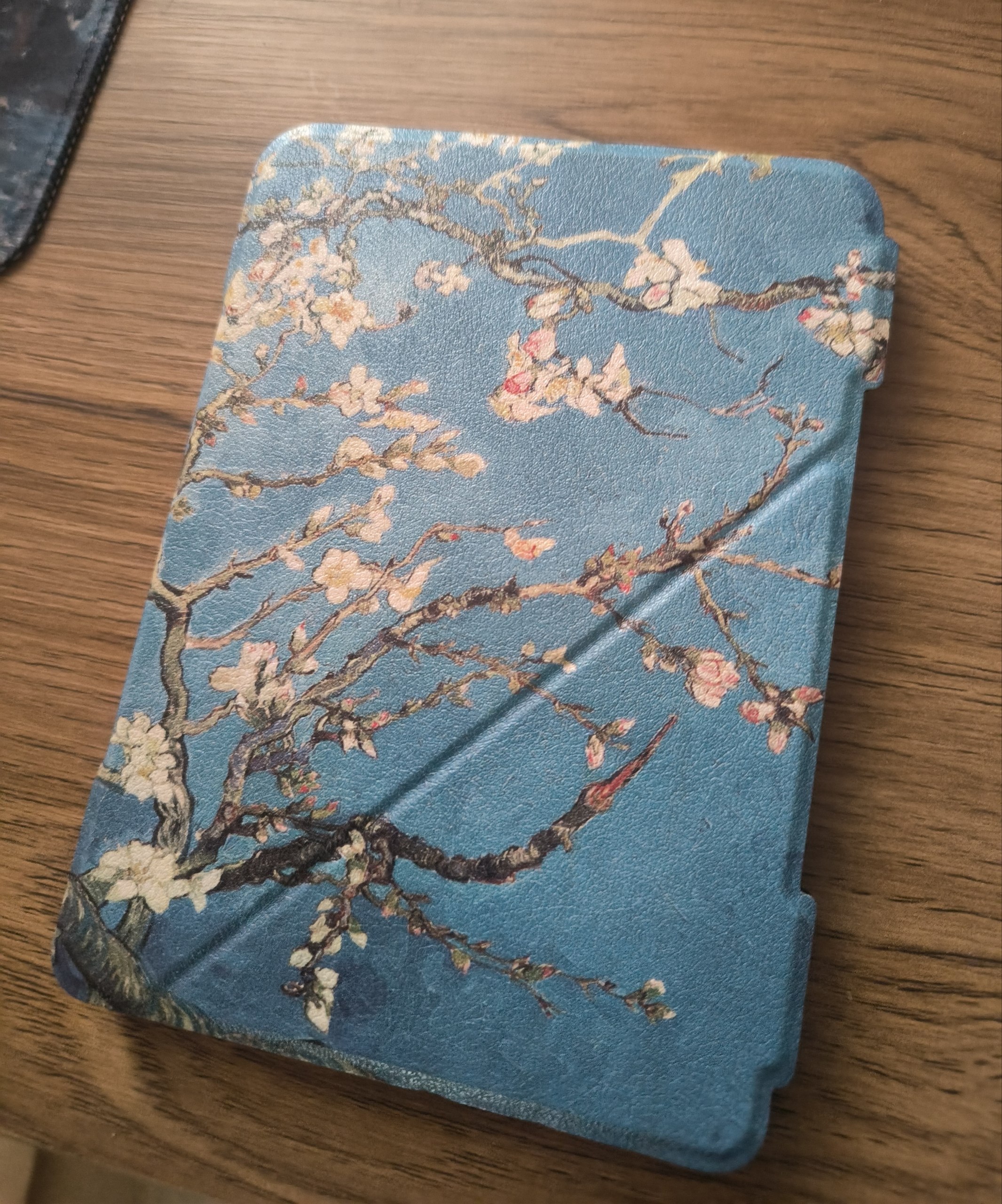 Электронная книга Digma E60C