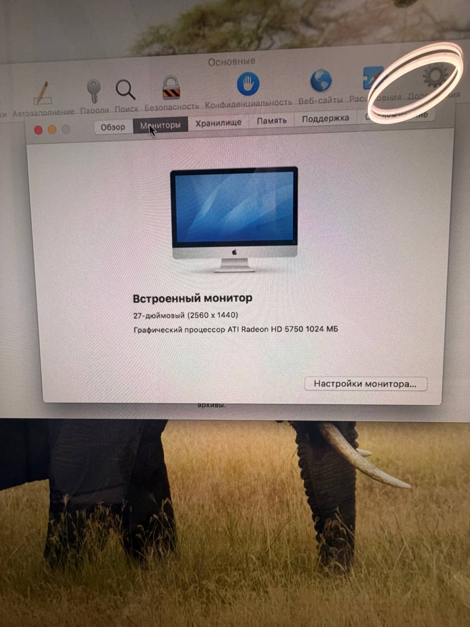Компьютер Mac (Apple)