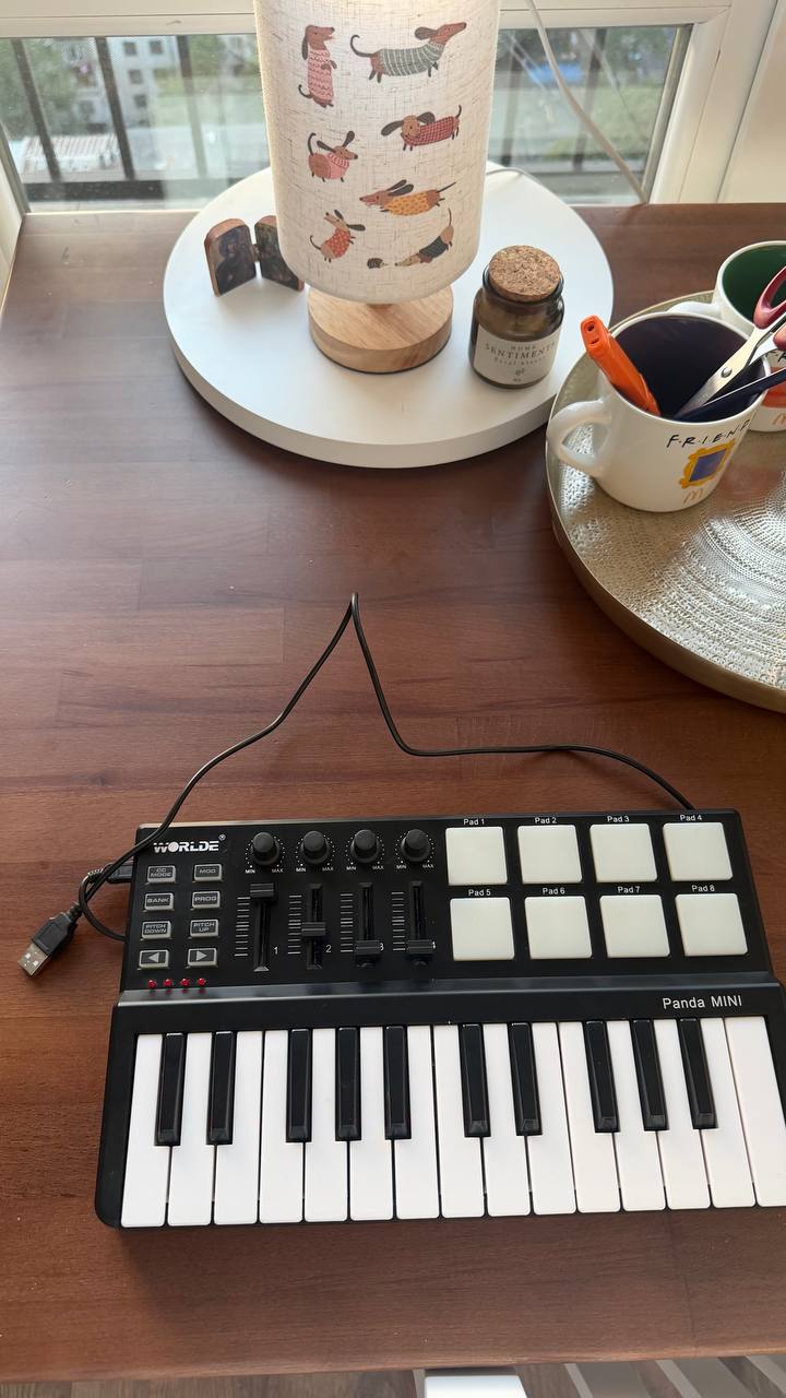 Midi-клавиатура Worlde Panda Mini