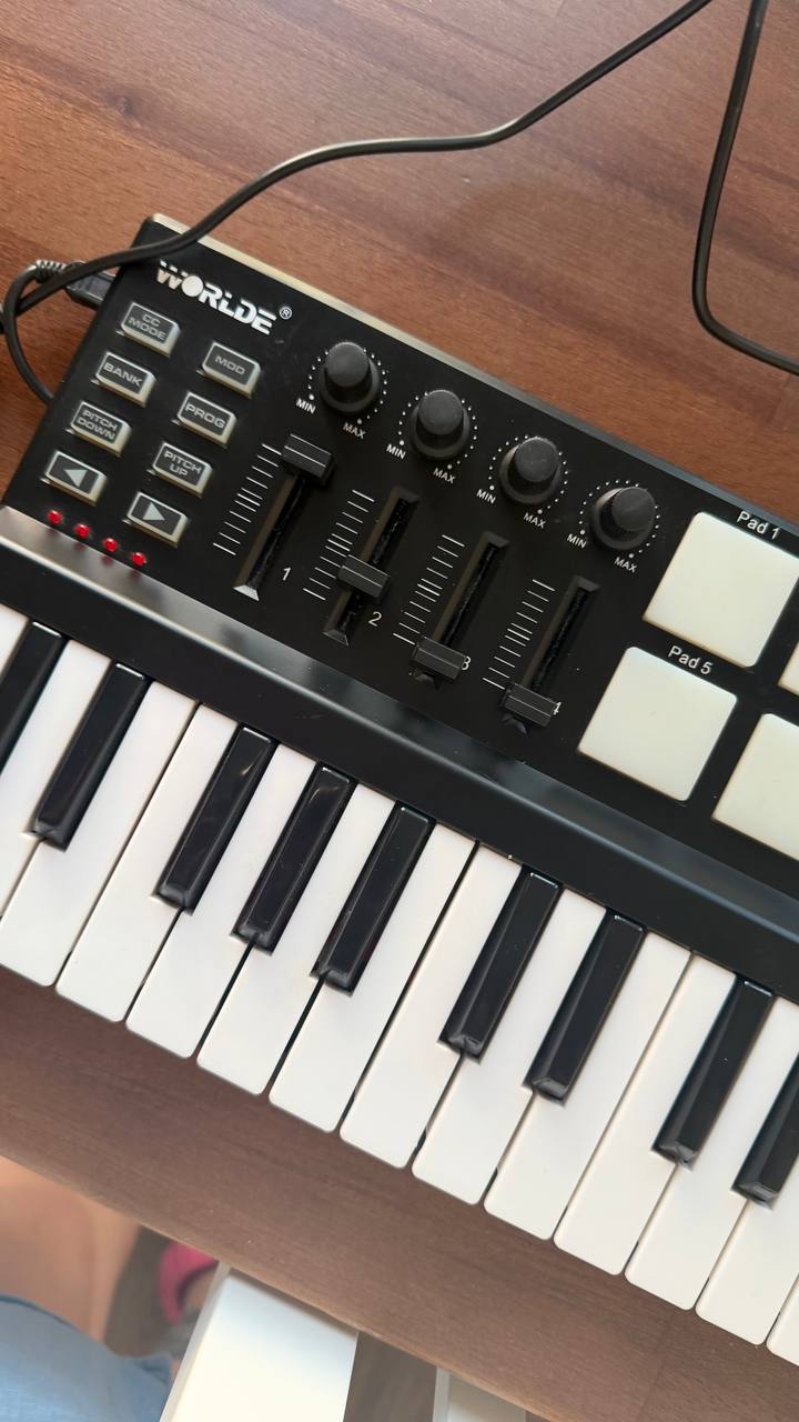 Midi-клавиатура Worlde Panda Mini