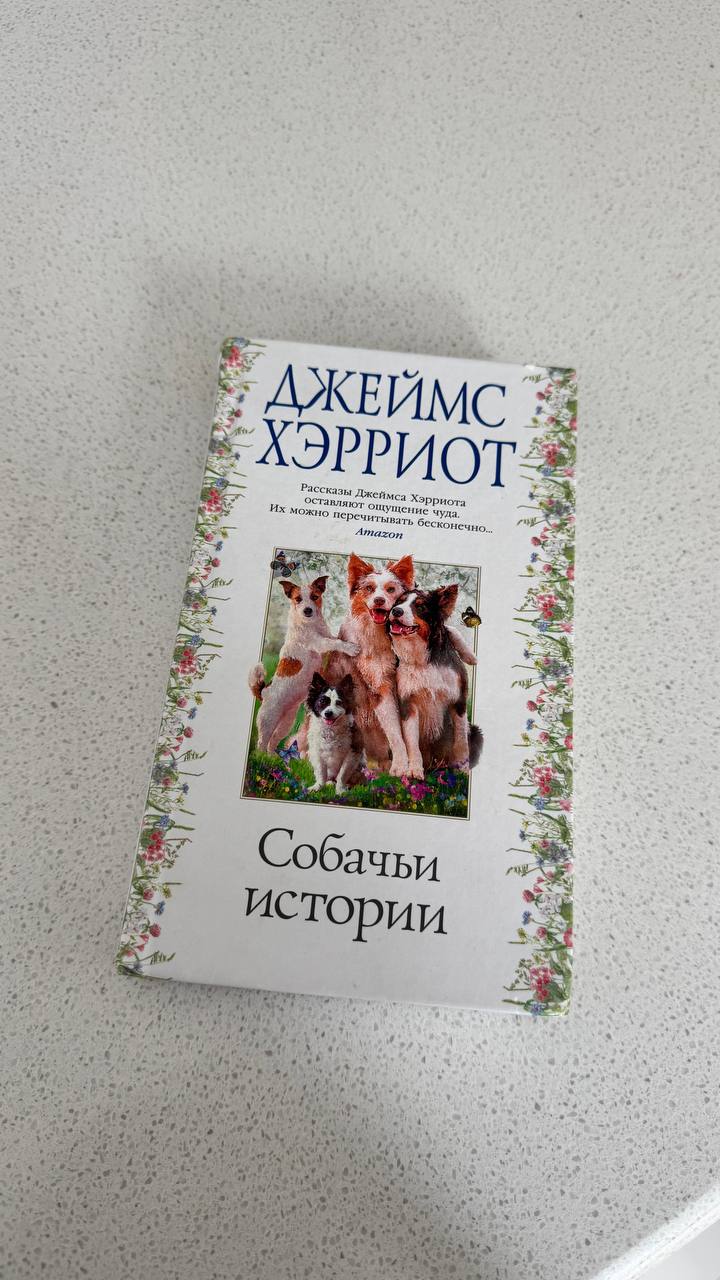 Книги (10 лари за любую)