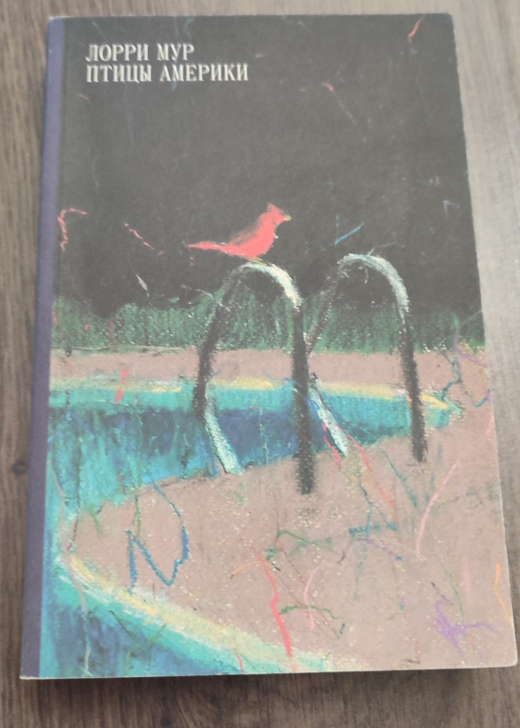 Книга «Птицы Америки», Лорри Мур