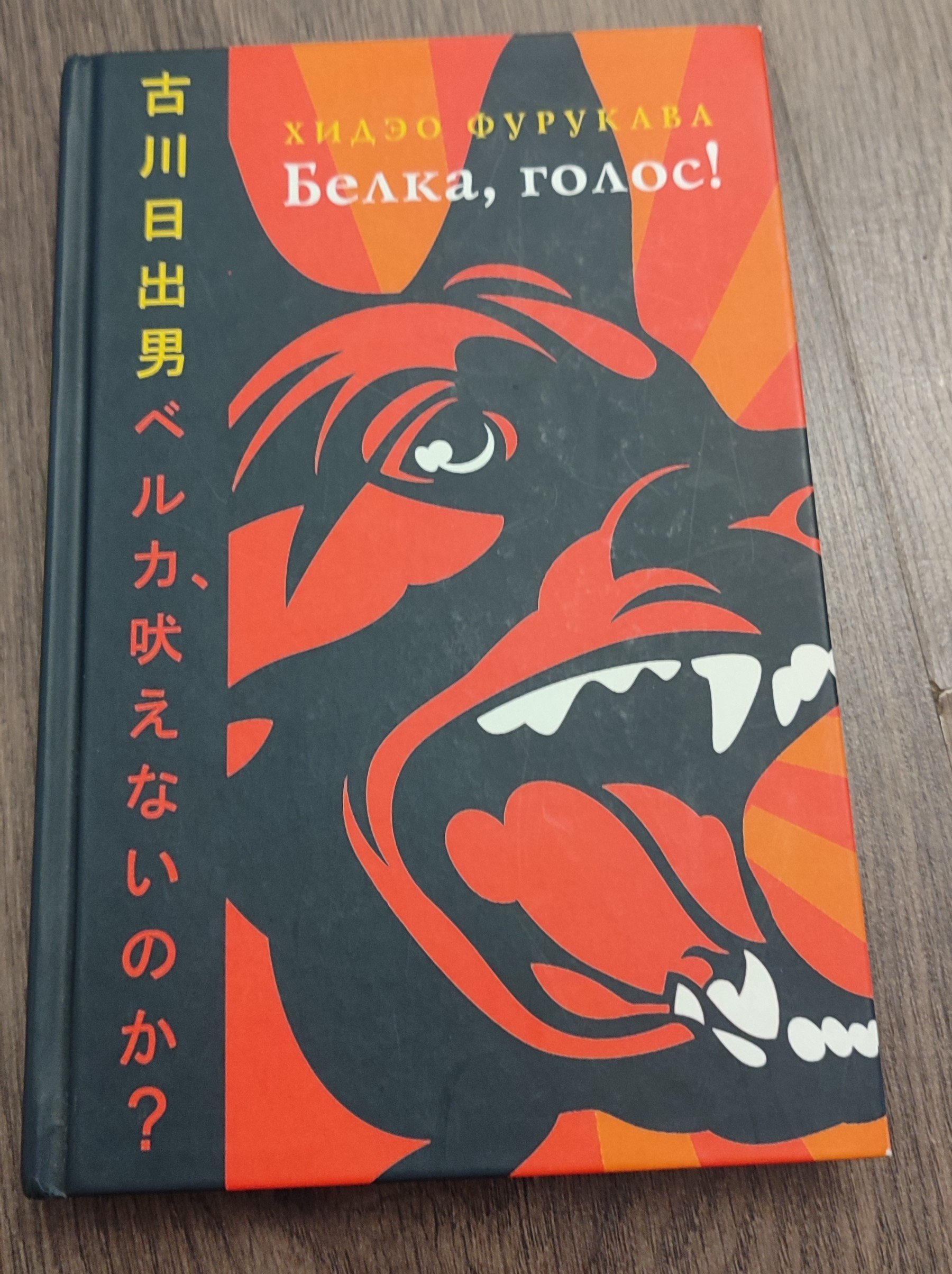 Книга «Белка, голос!», Хидэо Фурукава