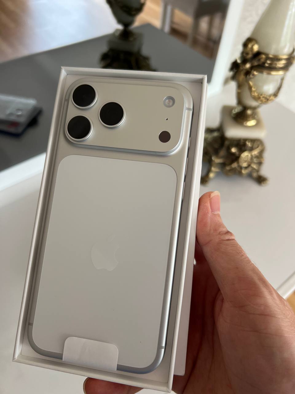 iPhone 17 Pro Max 256GB