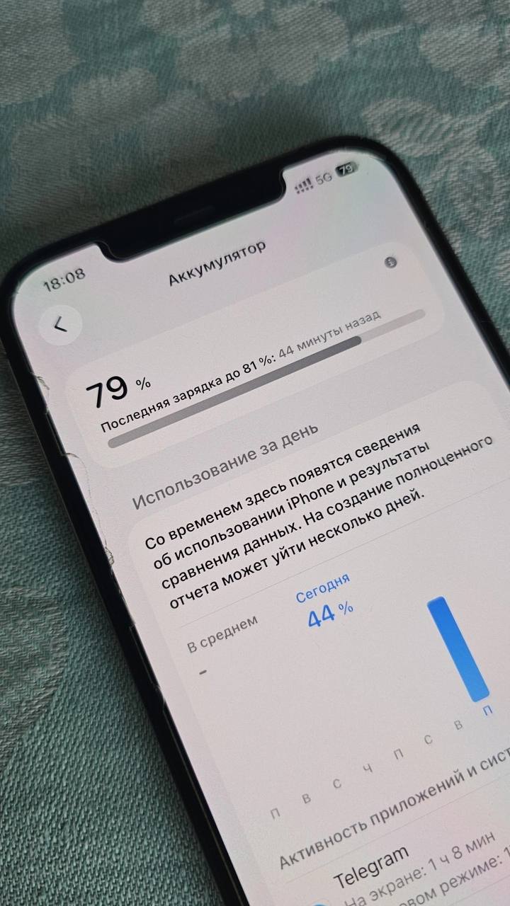 iPhone 12 Pro Max 512 GB