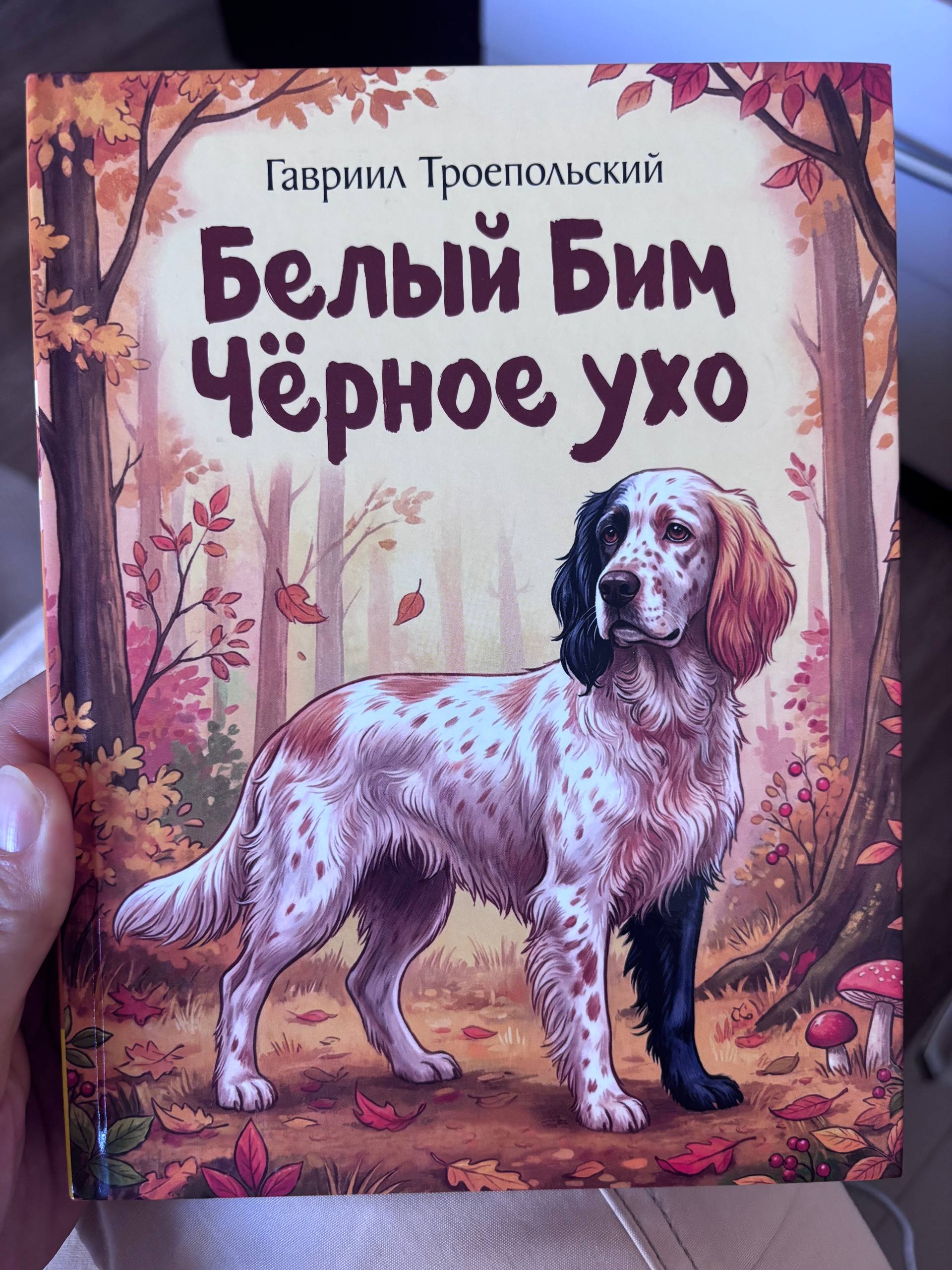Новые книги (3 шт.)
