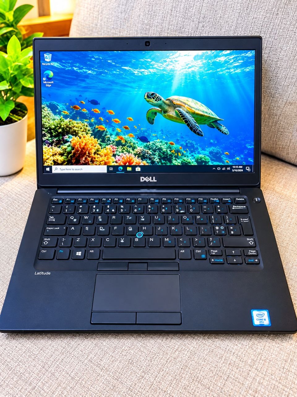 Ноутбук Dell 14" Core i5, 16 ГБ ОЗУ, SSD