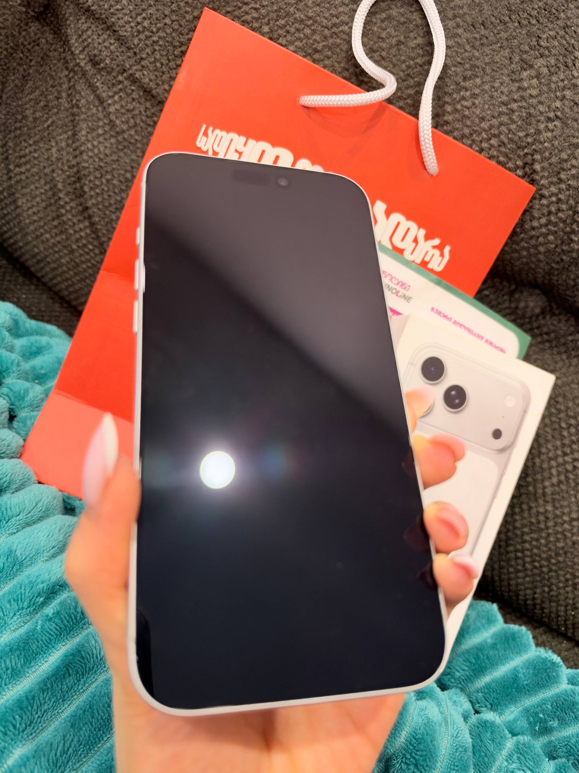 iPhone 17 Pro Max 256GB Silver