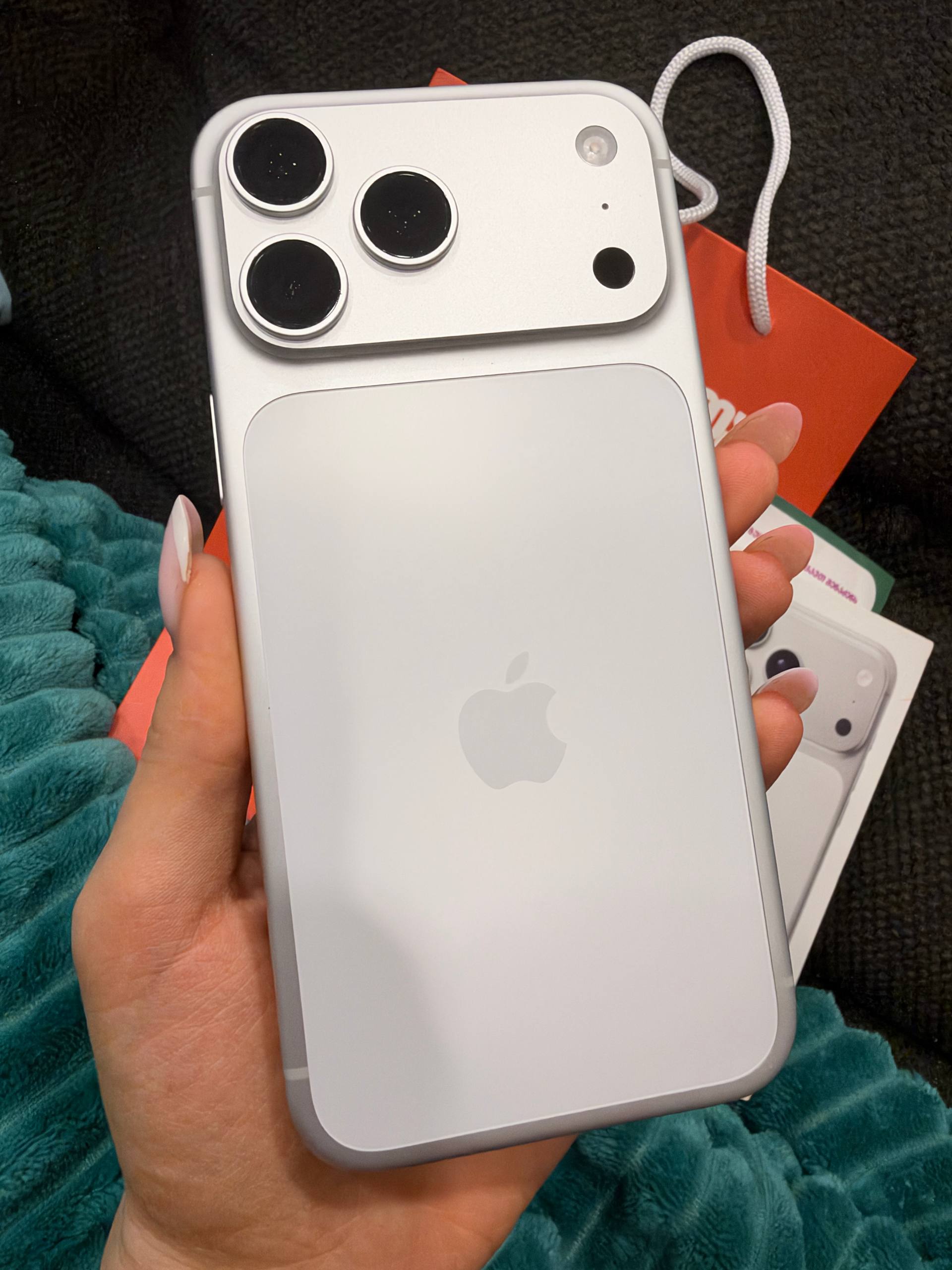 iPhone 17 Pro Max 256GB Silver