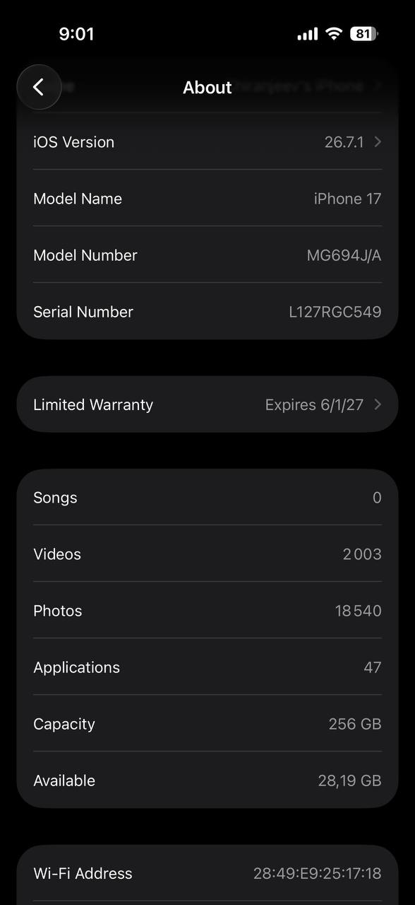 iPhone 17 256 ГБ Mist Blue
