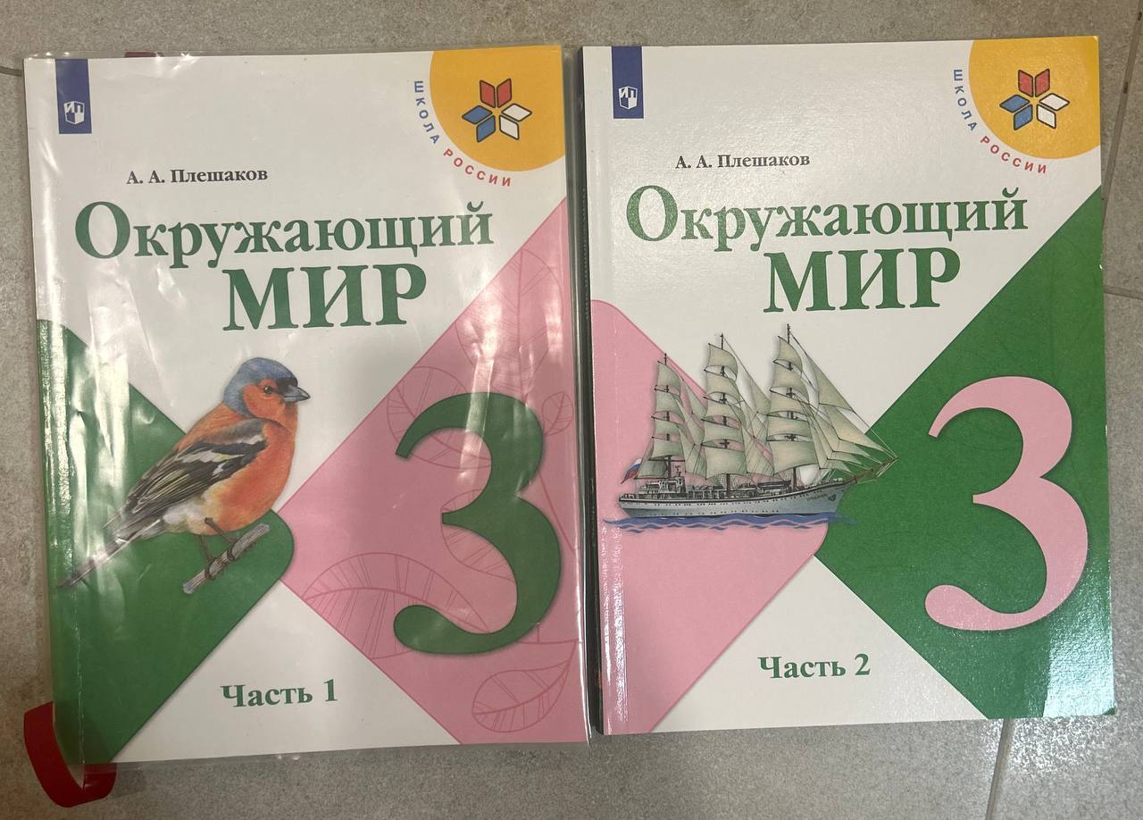Учебники: Окружающий мир, Чтение, Родной язык, Математика, Определение времени