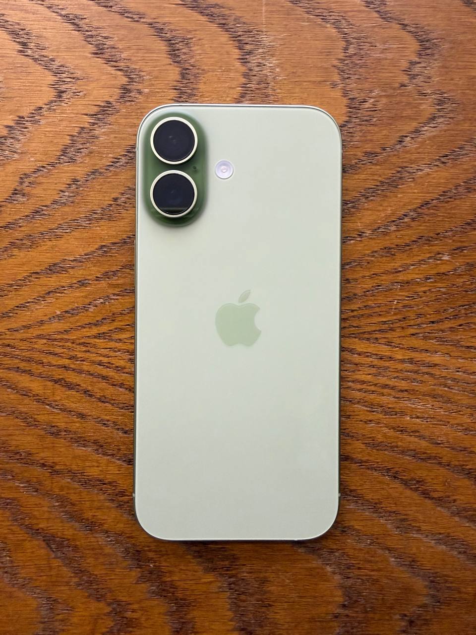 iPhone 17 256 GB Sage