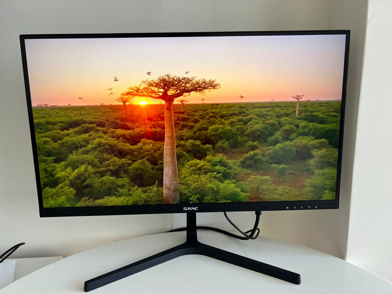 Монитор Sanc M2253 21.5" Full HD
