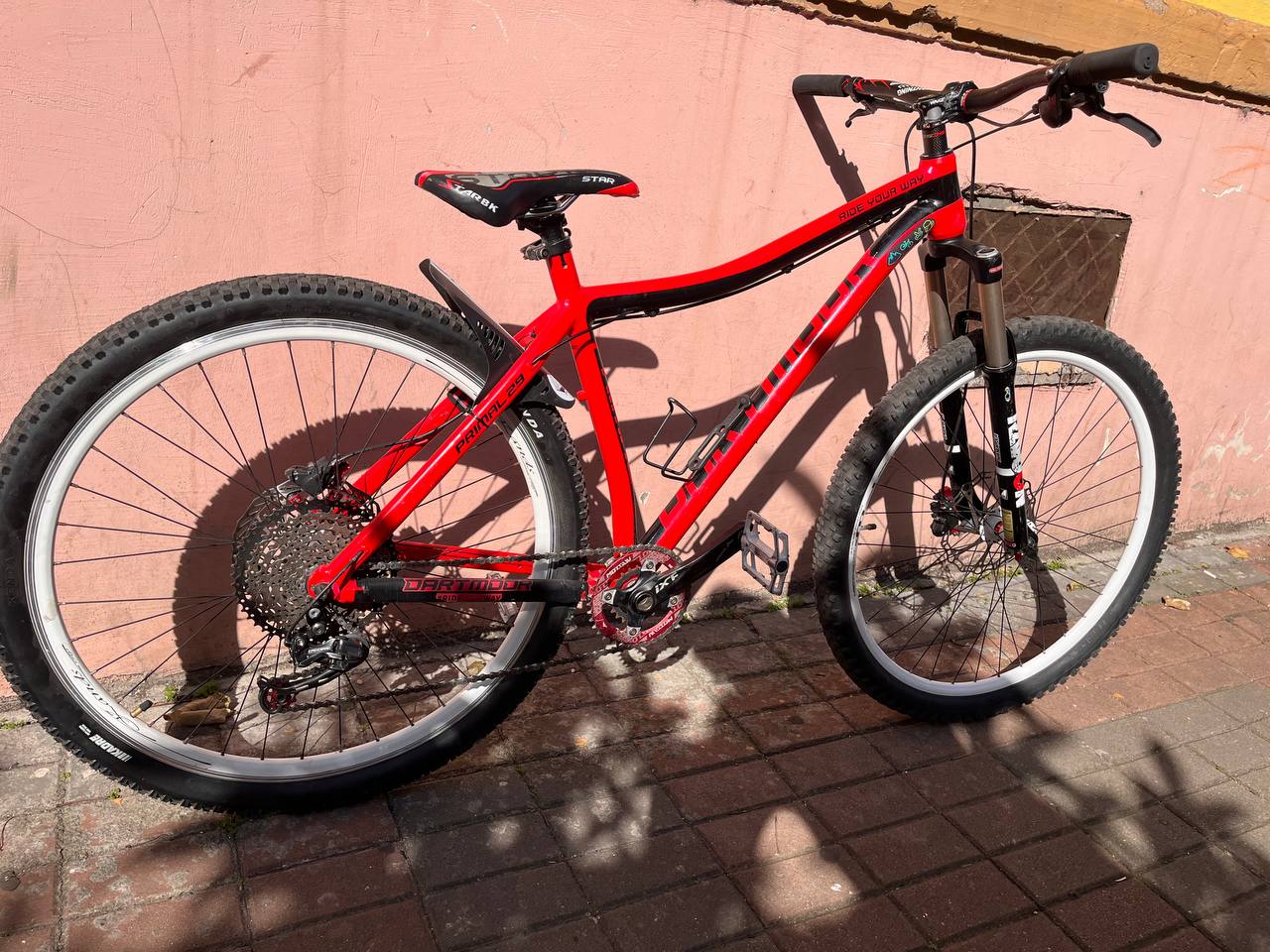 Велосипед Dartmoor Primal 29 (2017)