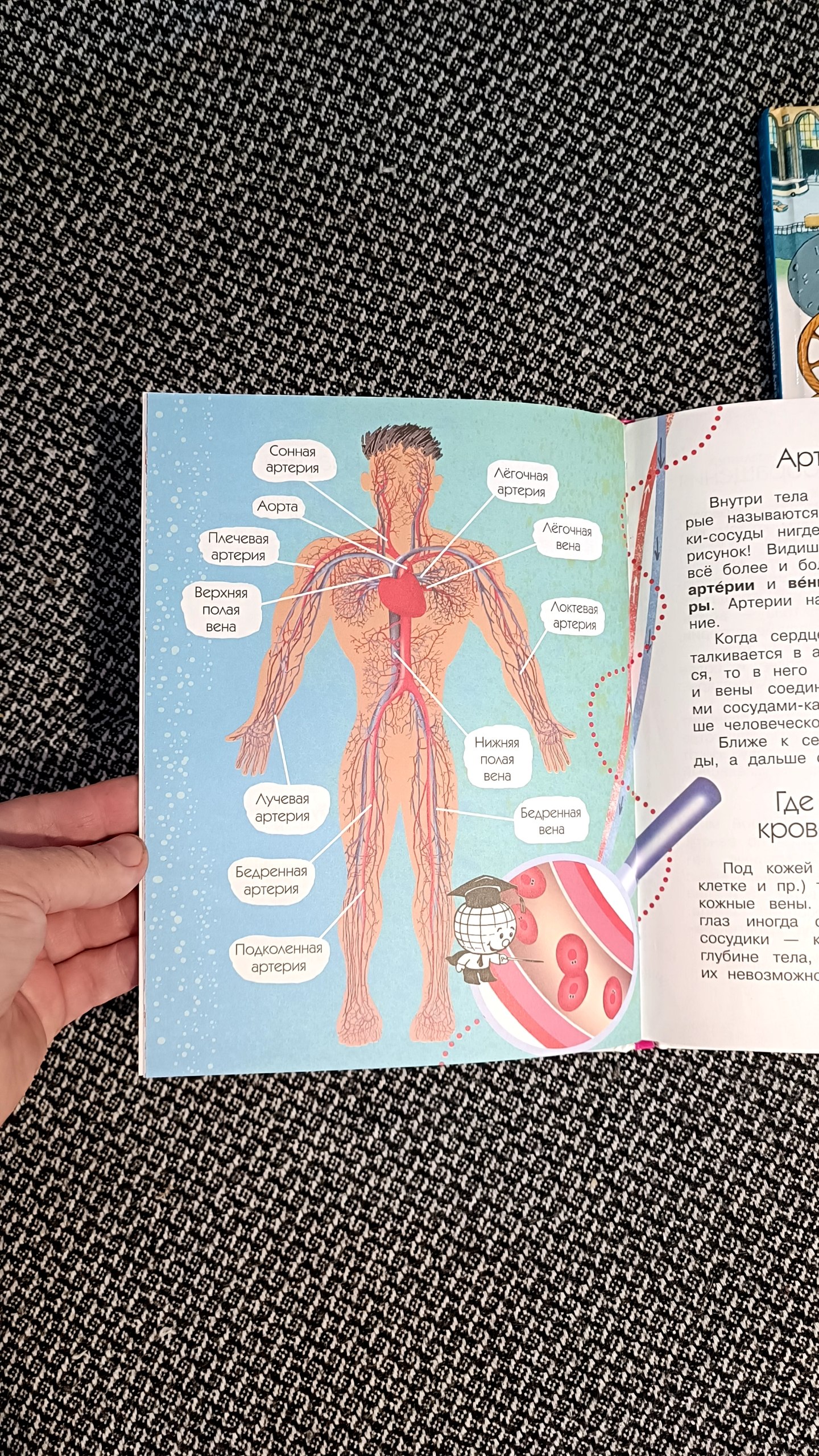 Детские книги "Почемучкины" в твердой обложке, 3 шт.