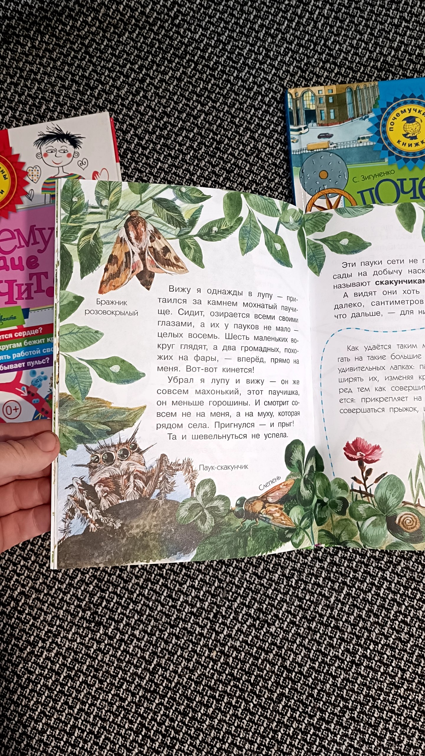 Детские книги "Почемучкины" в твердой обложке, 3 шт.