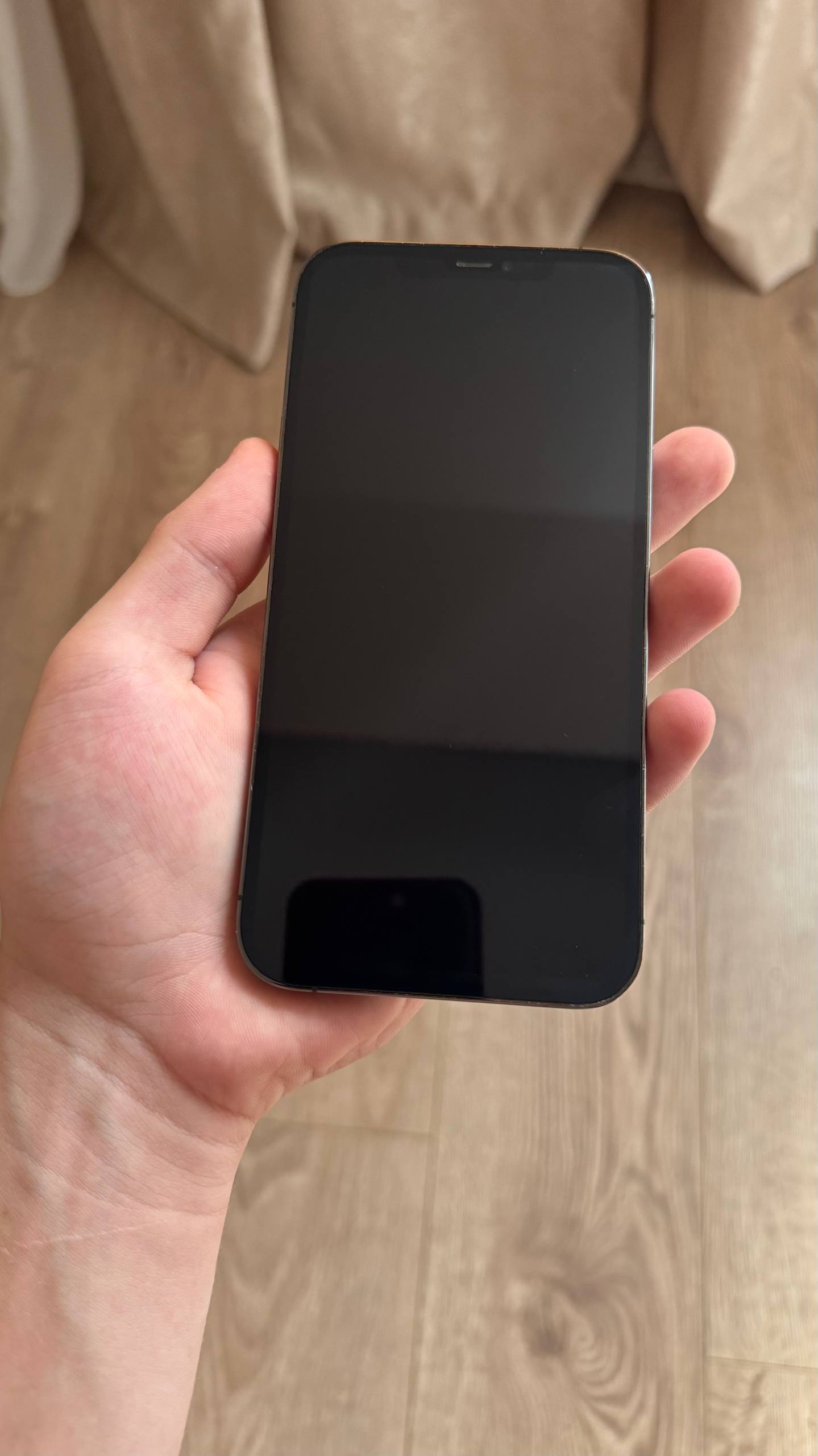 iPhone 12 Pro Max 256GB