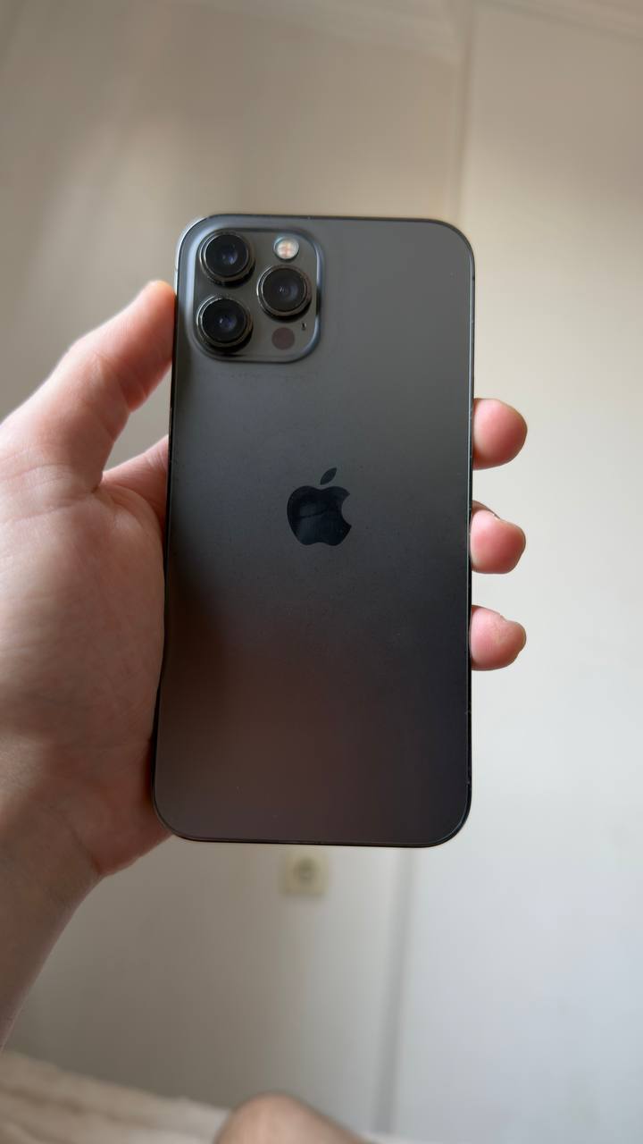 iPhone 12 Pro Max 256 ГБ