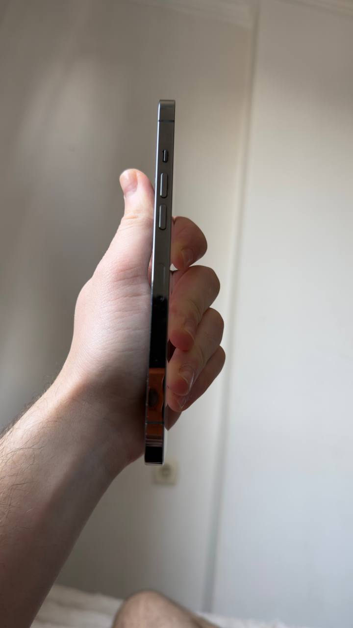 iPhone 12 Pro Max 256 ГБ