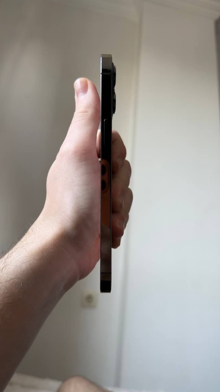 iPhone 12 Pro Max 256 ГБ