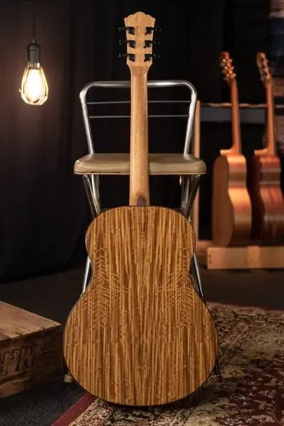 Электроакустическая гитара Washburn Bella Tono Vite S9V