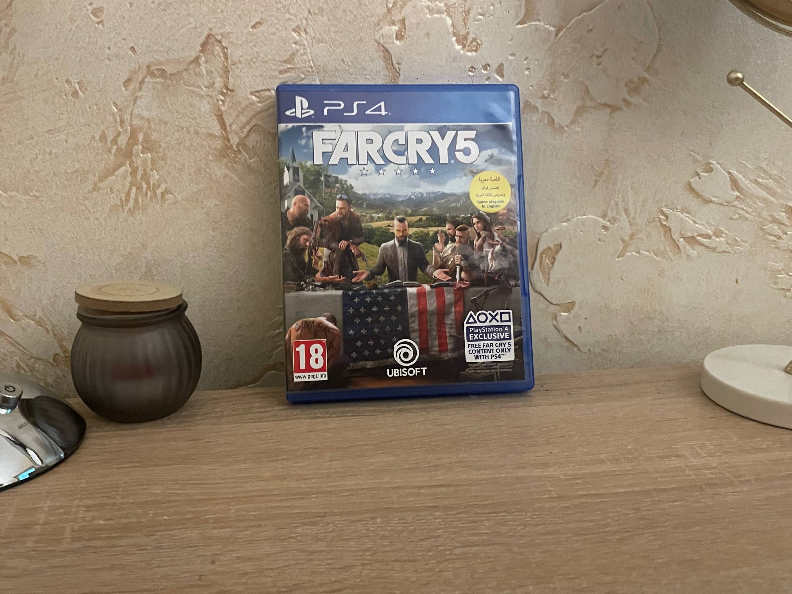 Far Cry 5 (диск для PlayStation)
