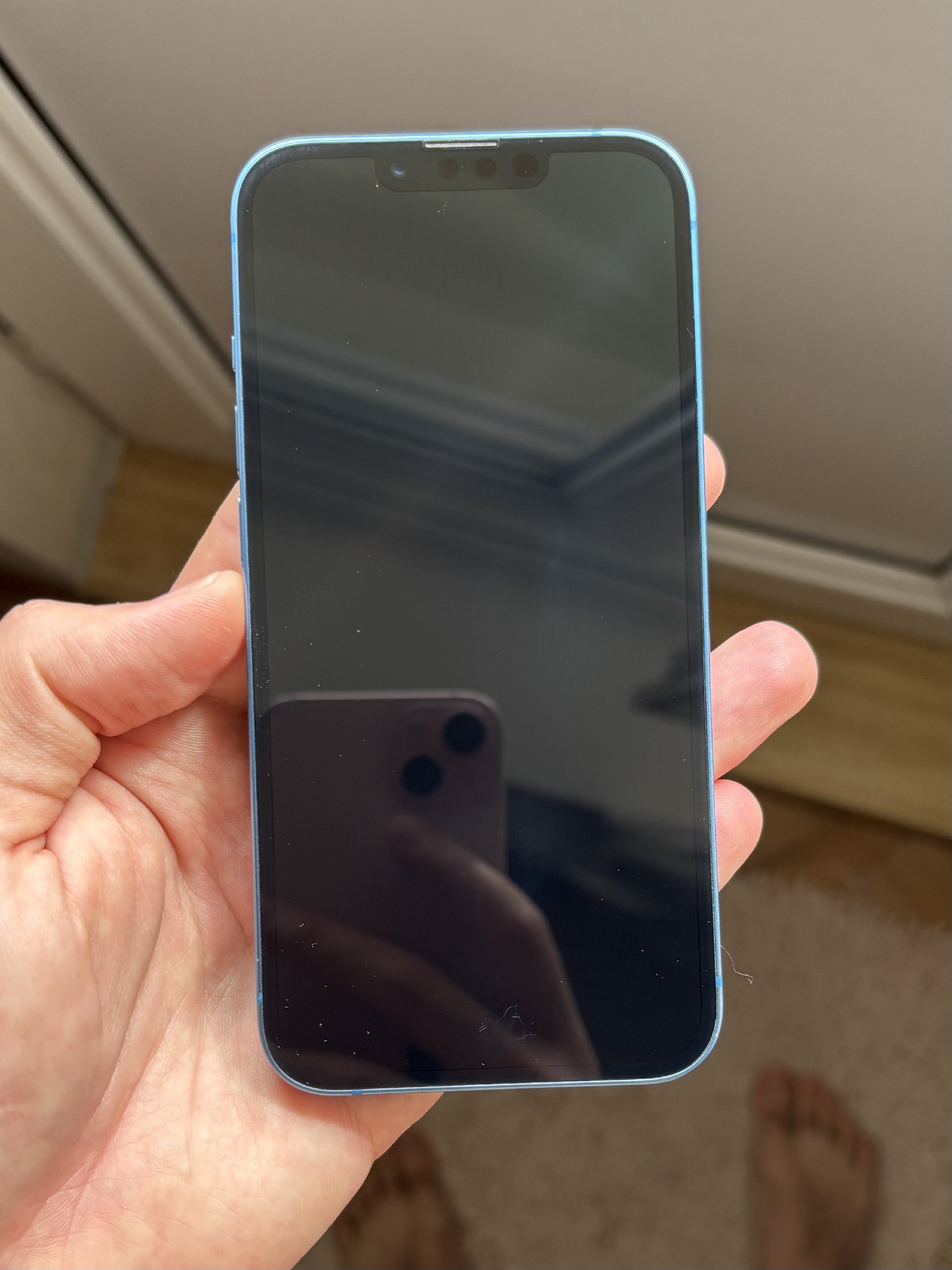 iPhone 13 256GB синий