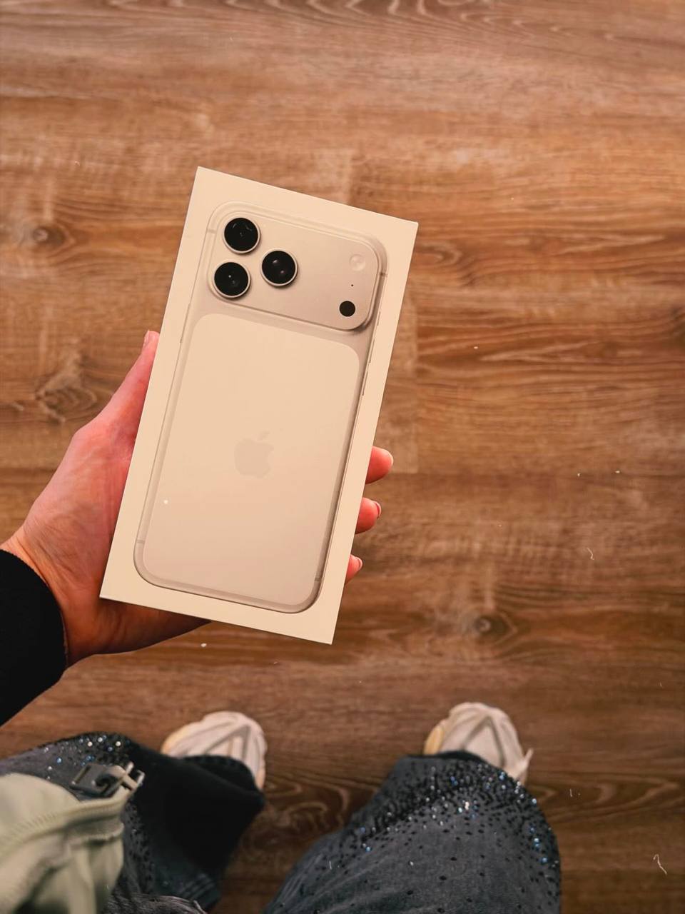 iPhone 17 Pro Max 256 ГБ Silver